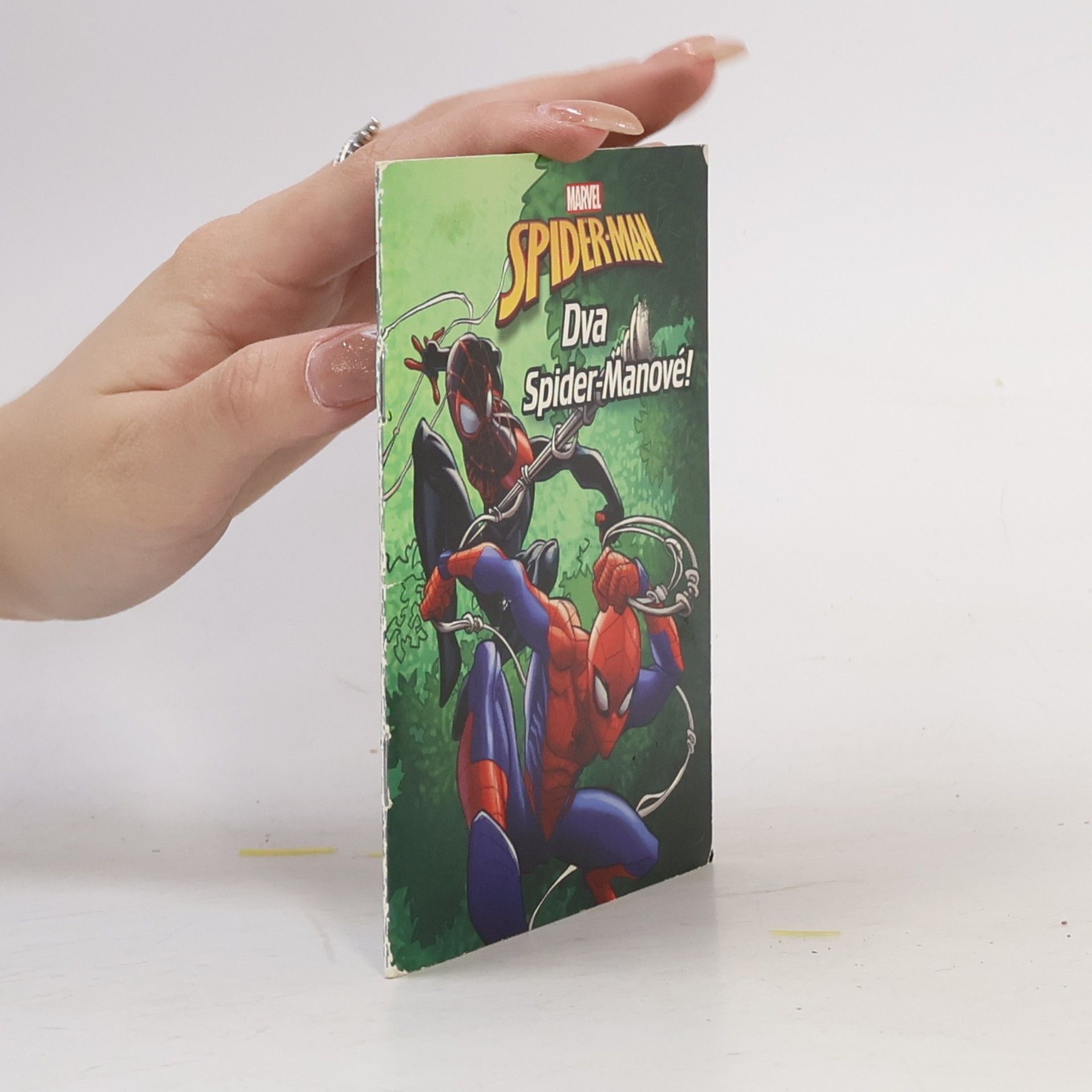 Autorenkollektiv Spider-Man