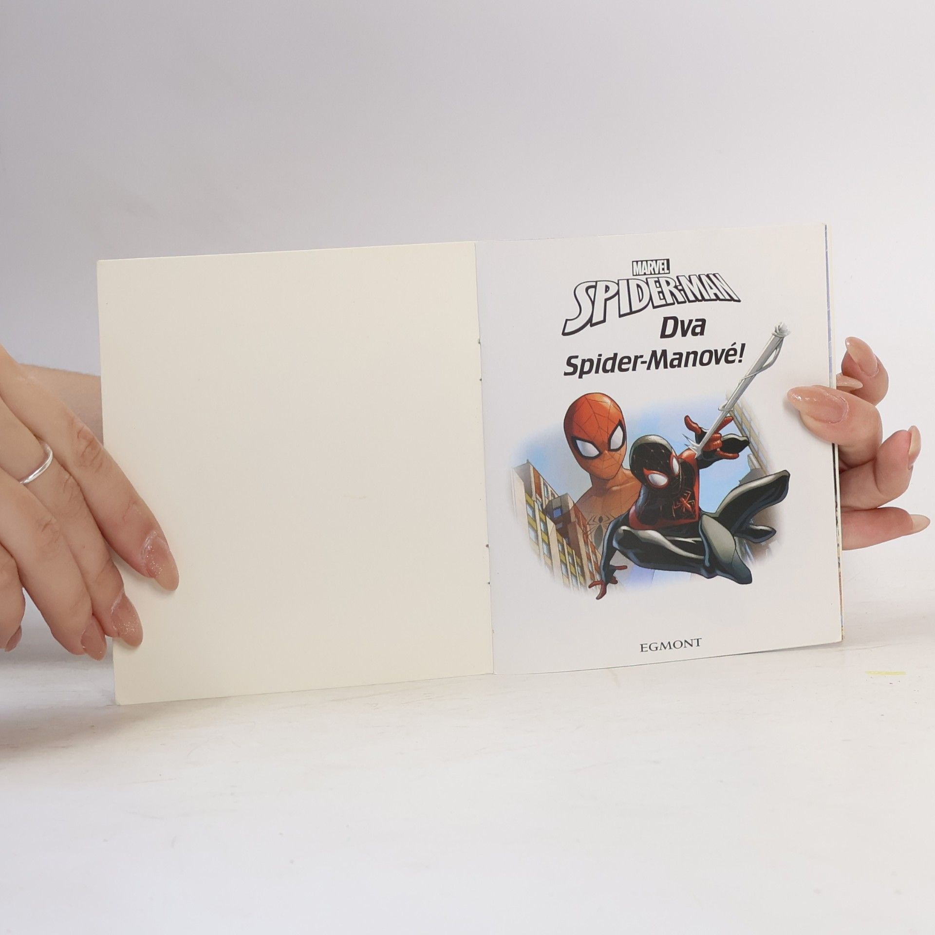 Autorenkollektiv Spider-Man