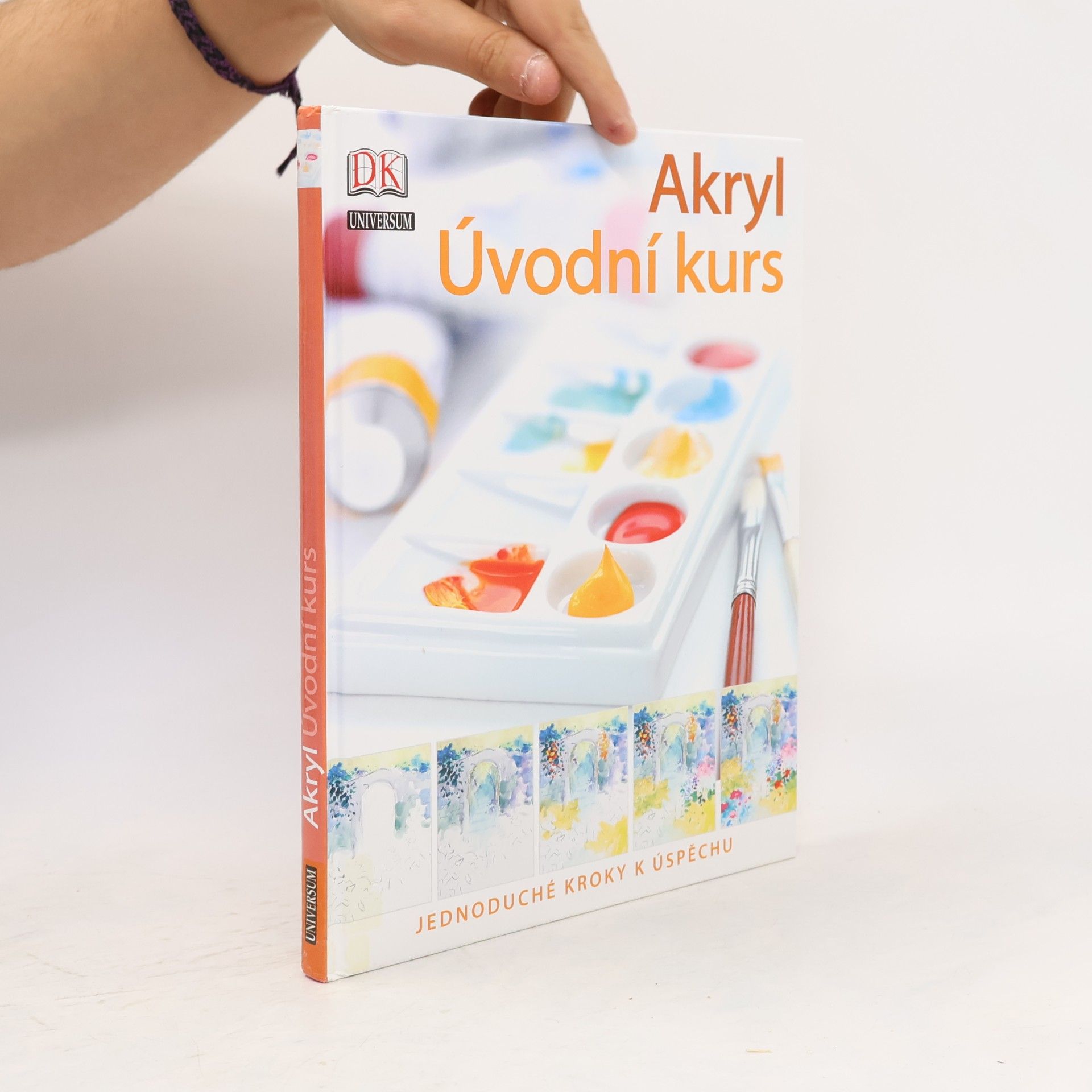 Phyllis McDowell Akryl : úvodní kurs