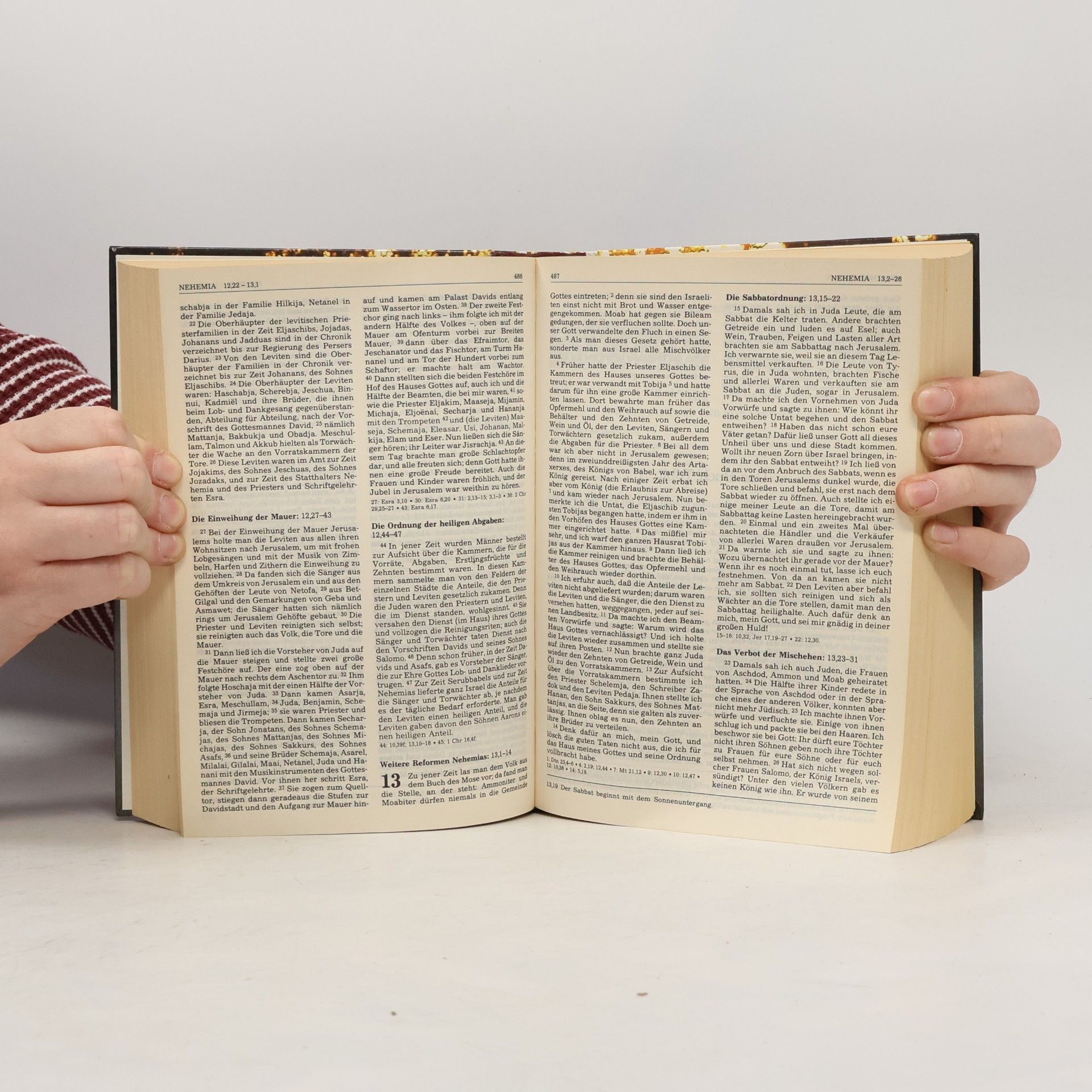 Autores varios Die Bibel