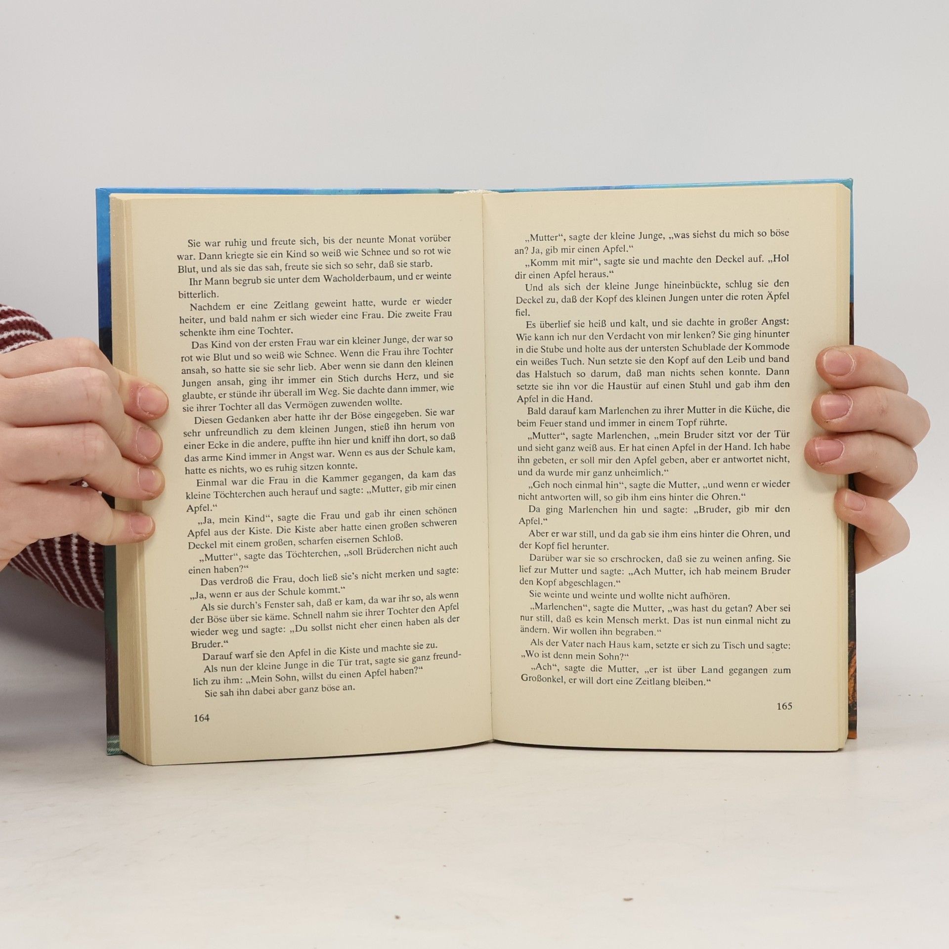 Roland W. Pinson Das große Märchen- und Sagenbuch