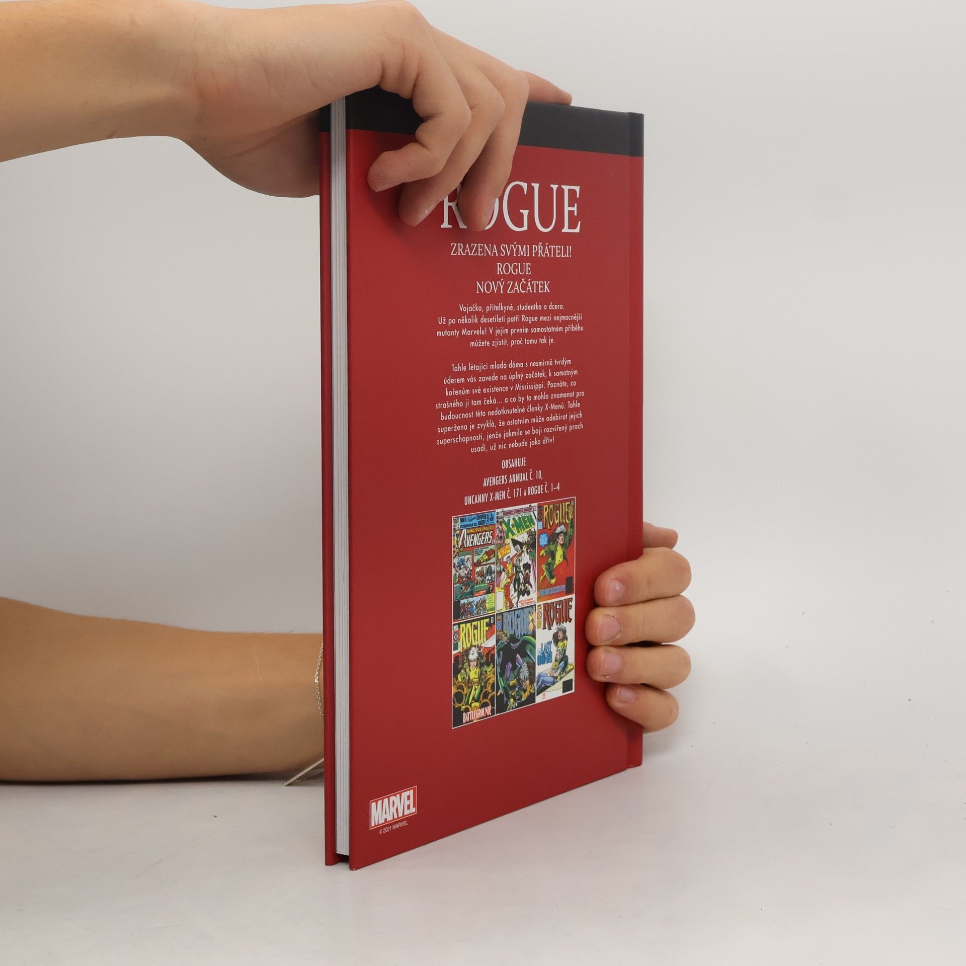 Collectif d'auteurs Nejmocnější hrdinové Marvelu. Rogue