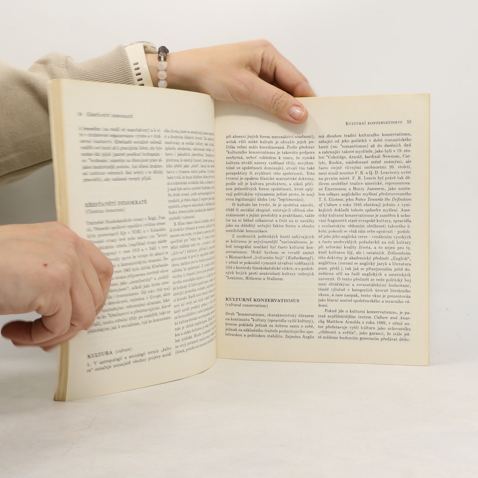Roger Scruton Slovník politického myšlení