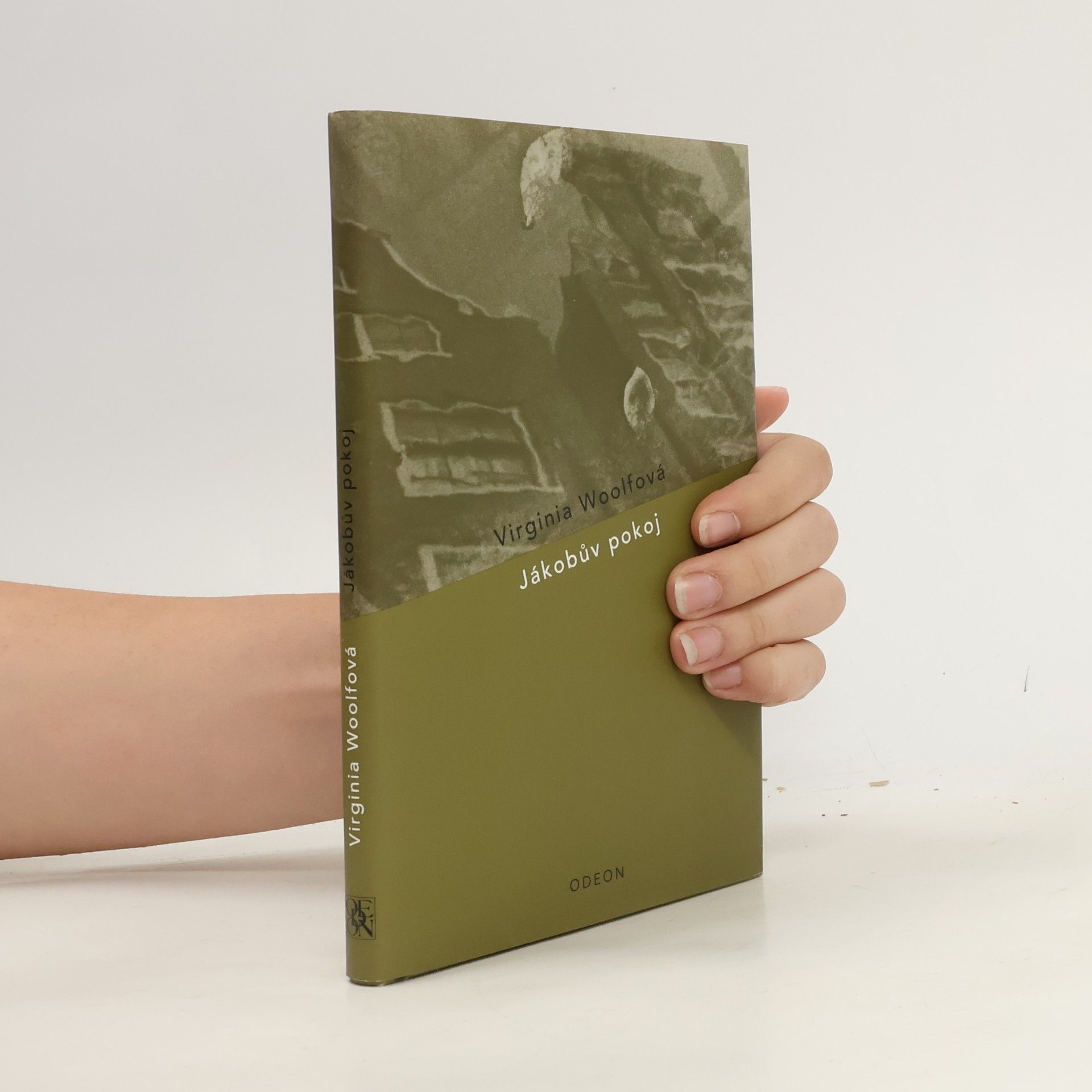 Virginia Woolf Jákobův pokoj