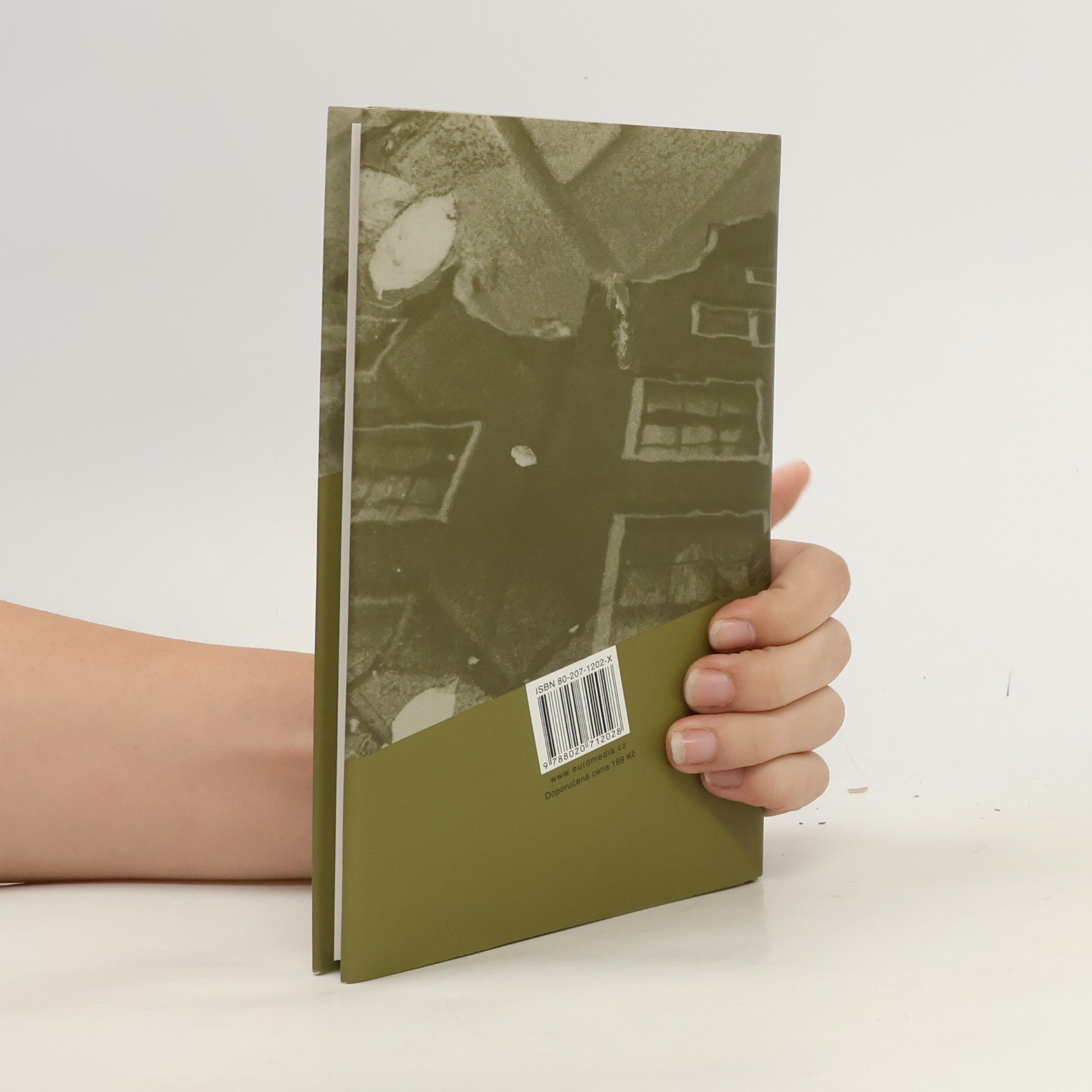 Virginia Woolf Jákobův pokoj