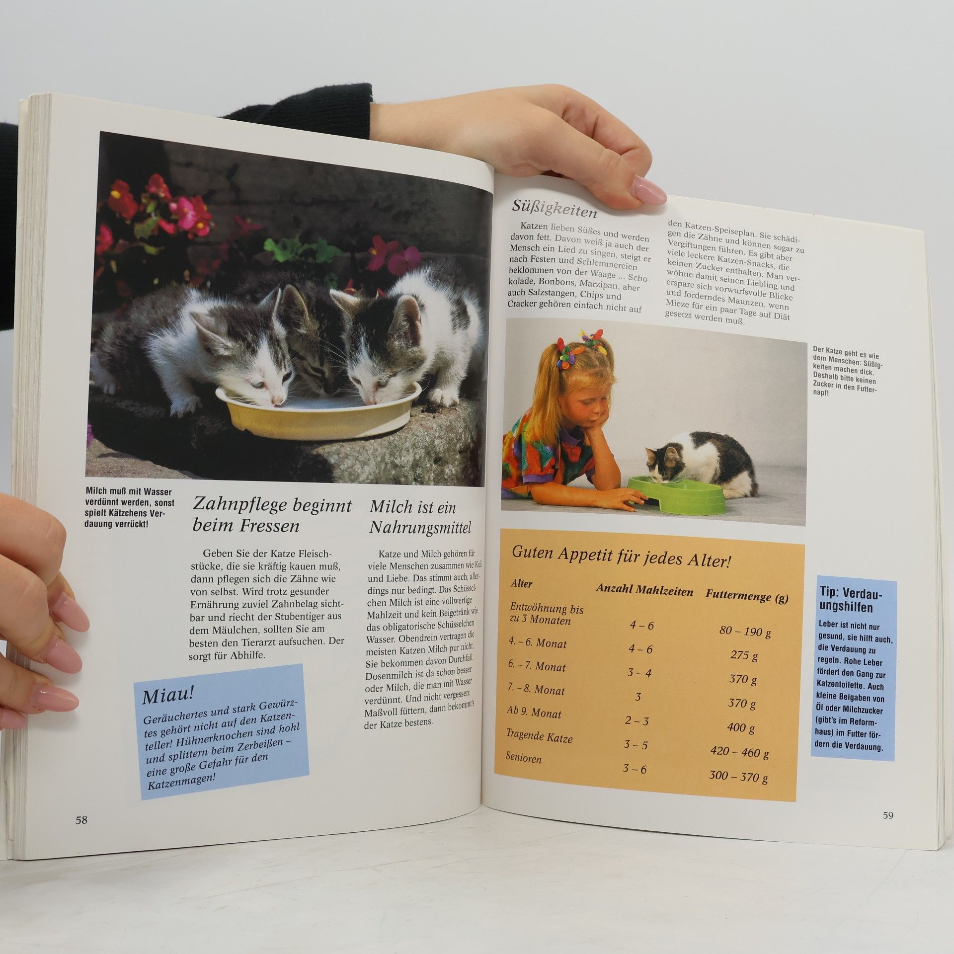 Sabine Hackmann Lieblingstier Katze. Das Buch für alle, die Katzen lieben