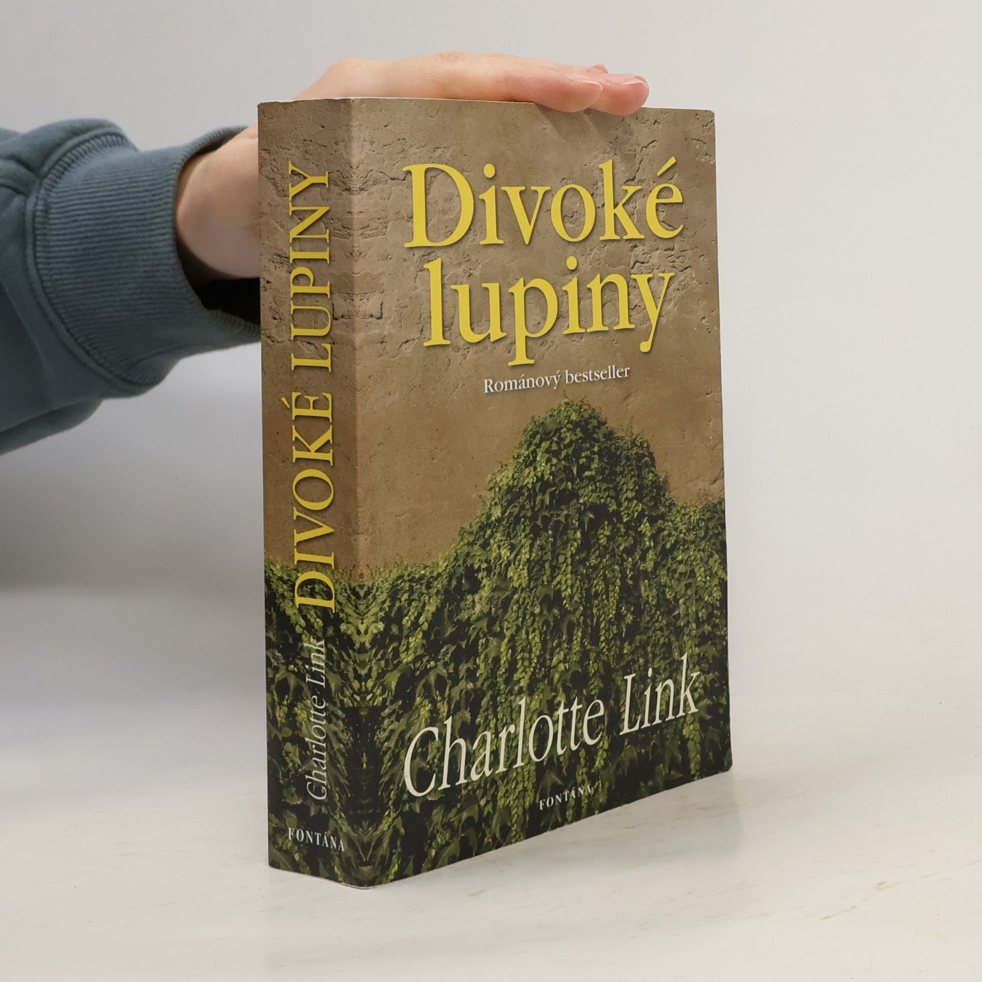 Charlotte Link Divoké lupiny