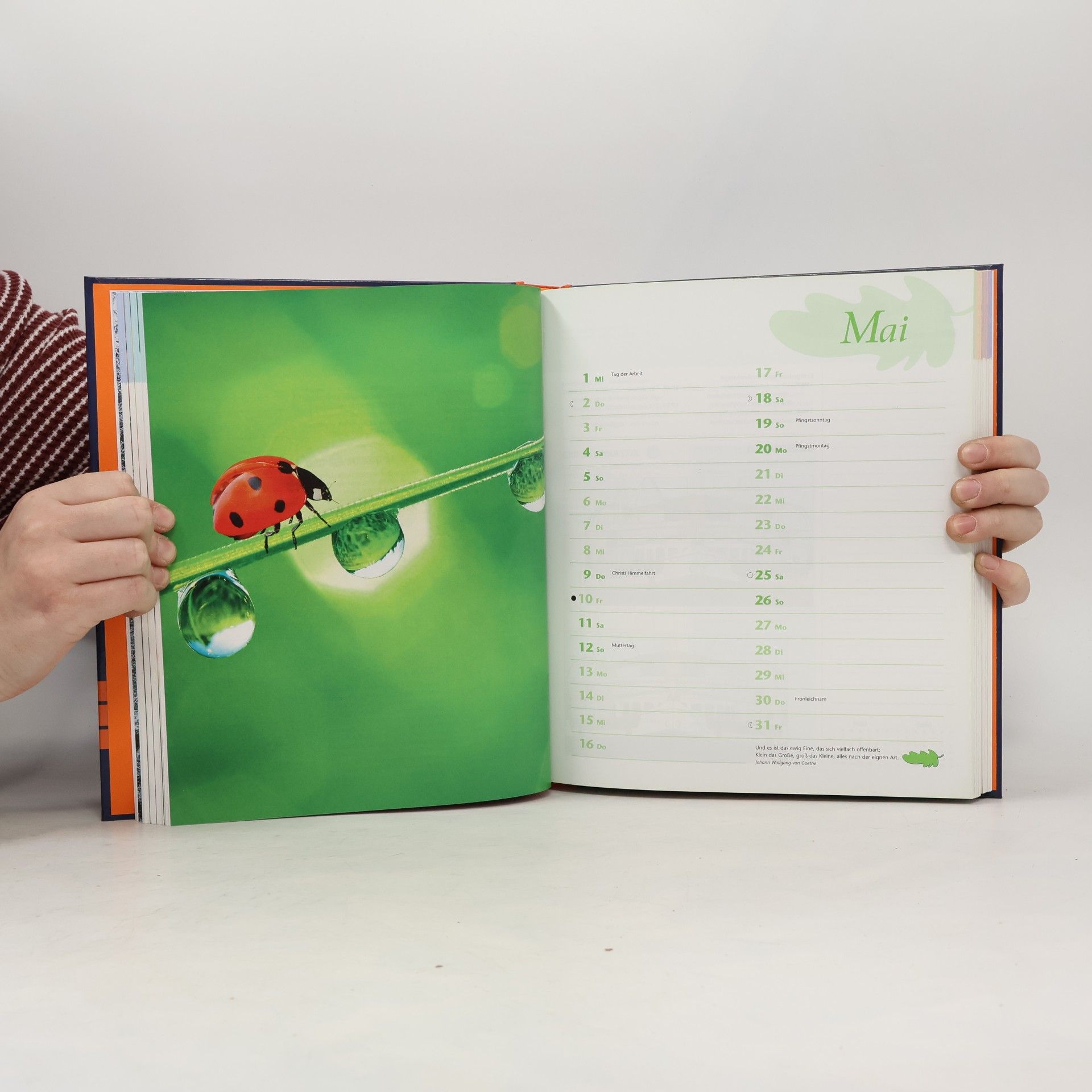 Autorenkollektiv Almanach 2013