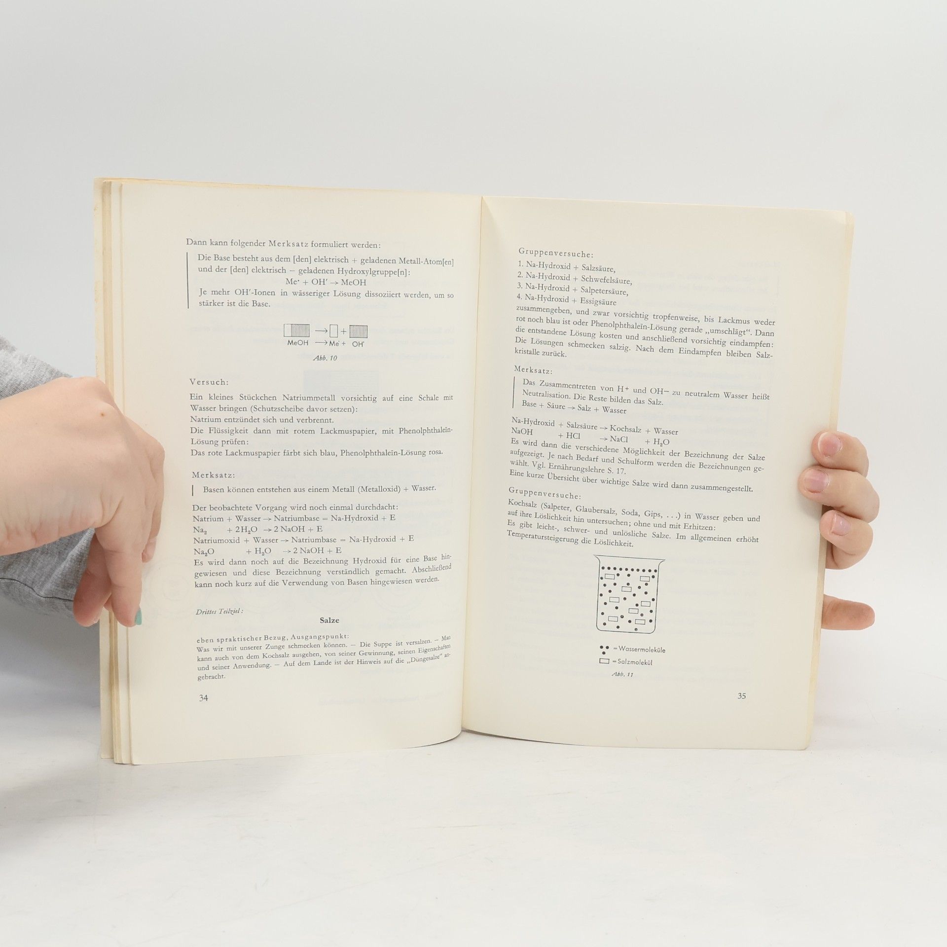 Various authors Die moderne Hauswirtschaft: Ernährungslehre