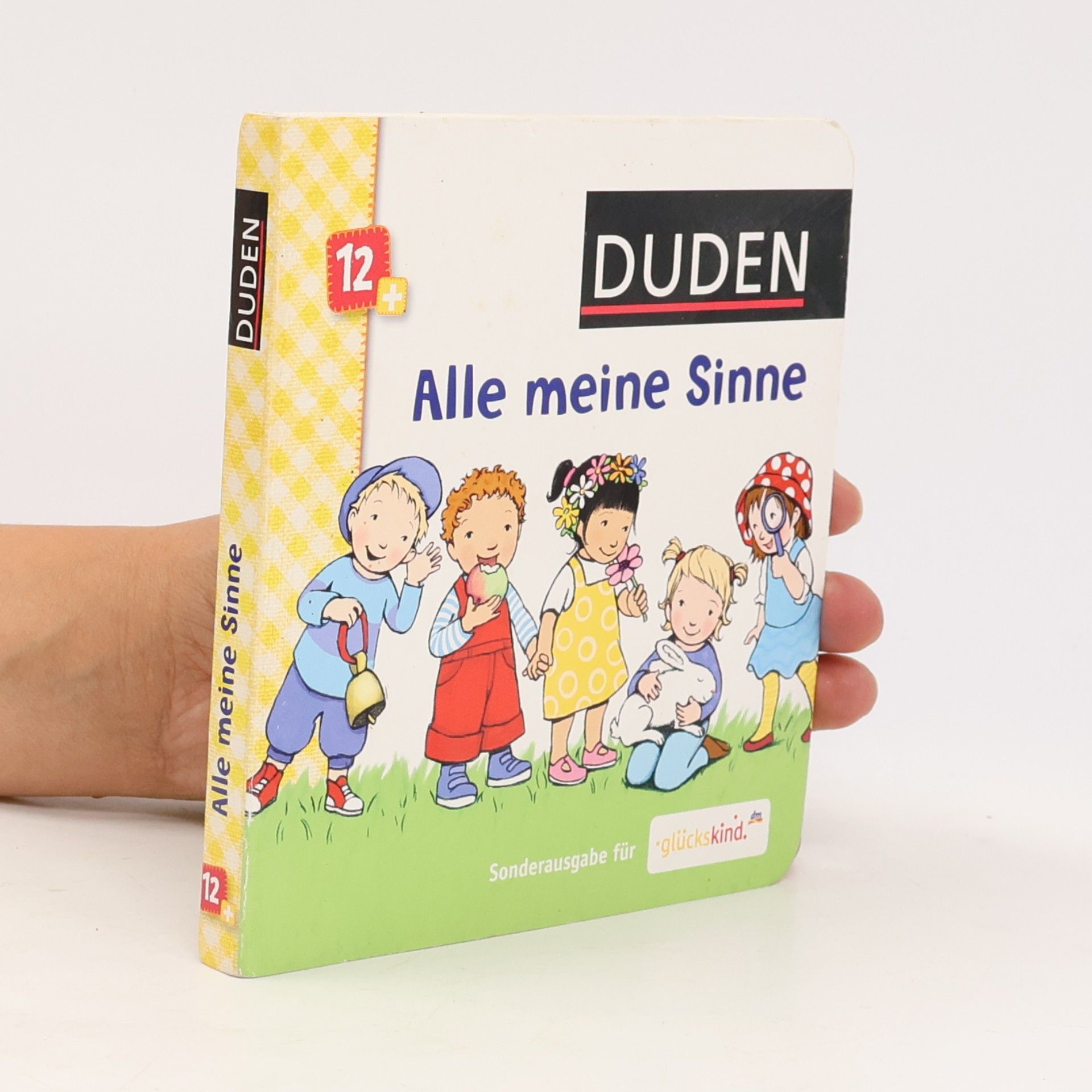 Alle meine Sinne