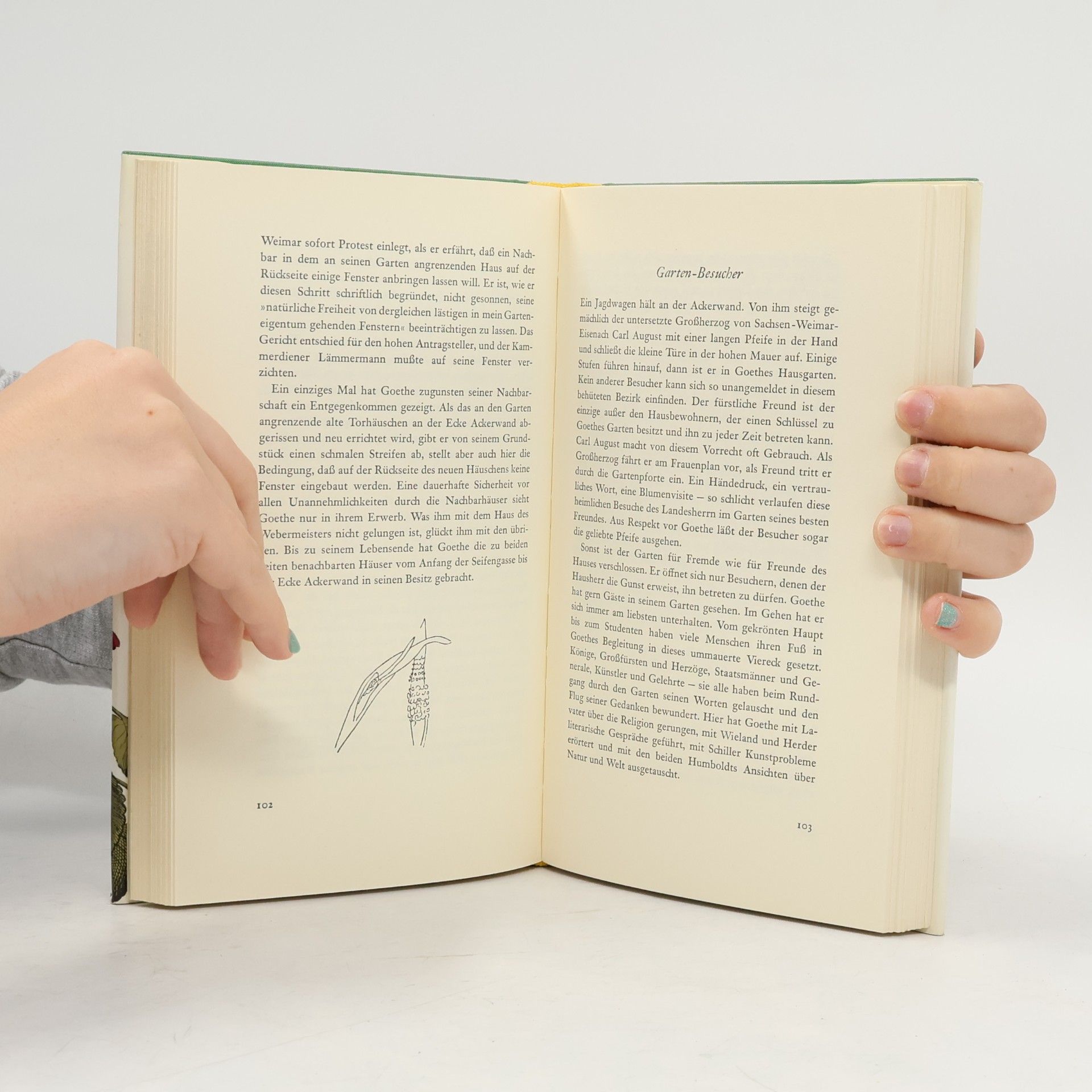 Georg Balzer Goethe als Gartenfreund