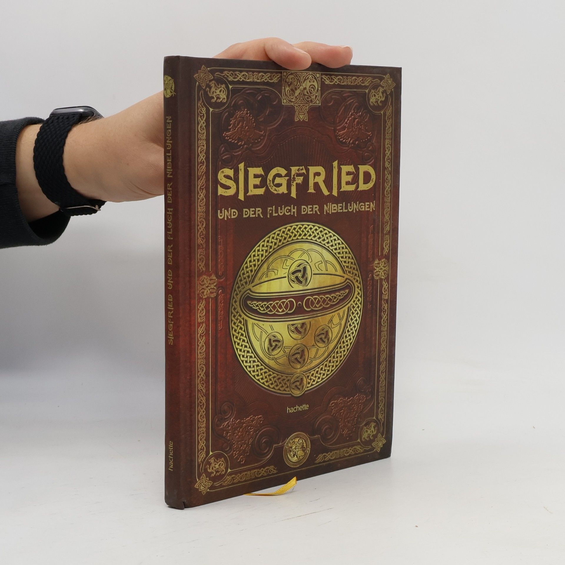 Kolektiv autorů Siegfried und der Fluch der Nibelungen