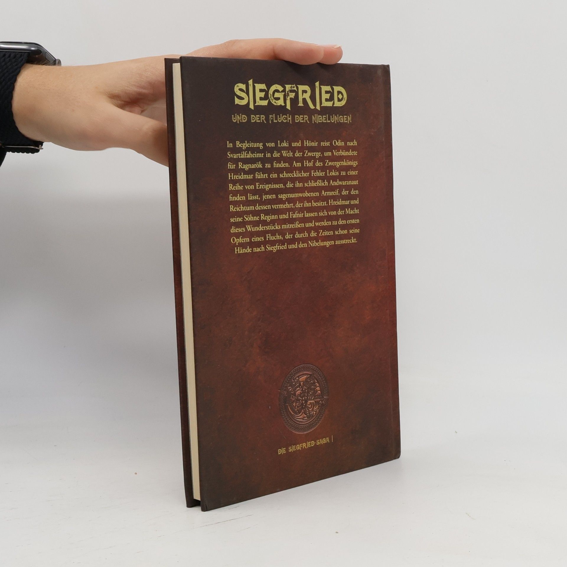 Kolektiv autorů Siegfried und der Fluch der Nibelungen