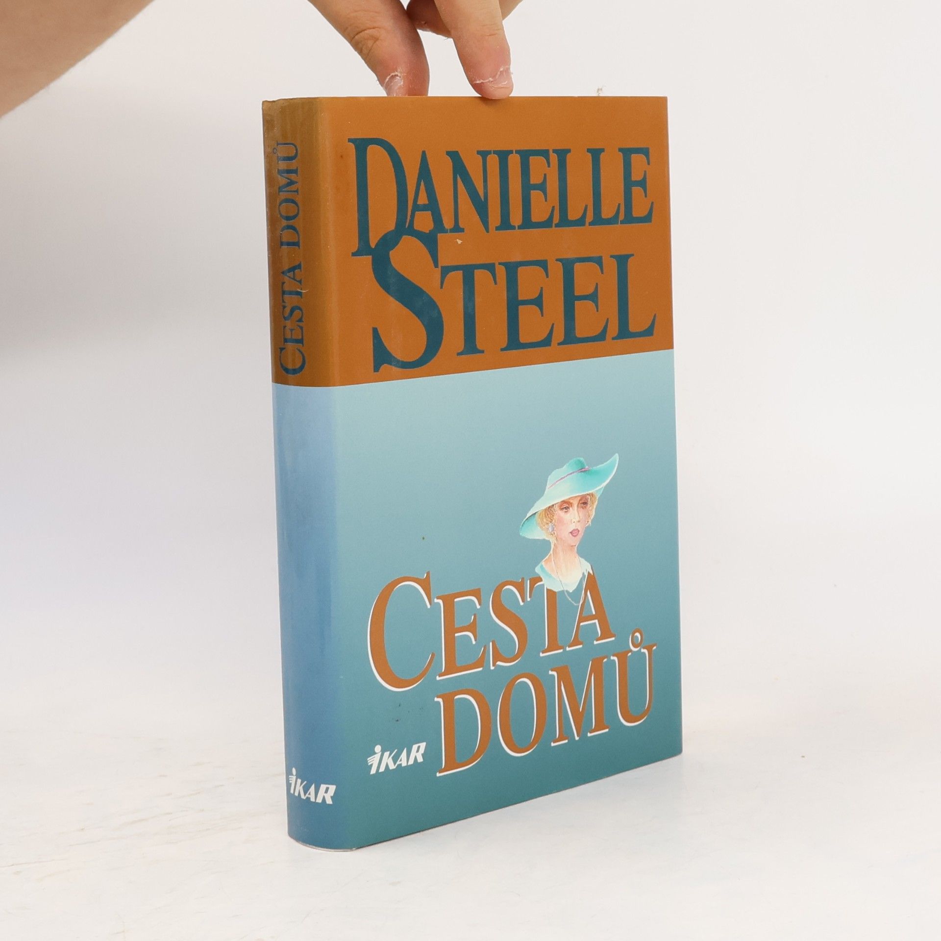 Cesta domů