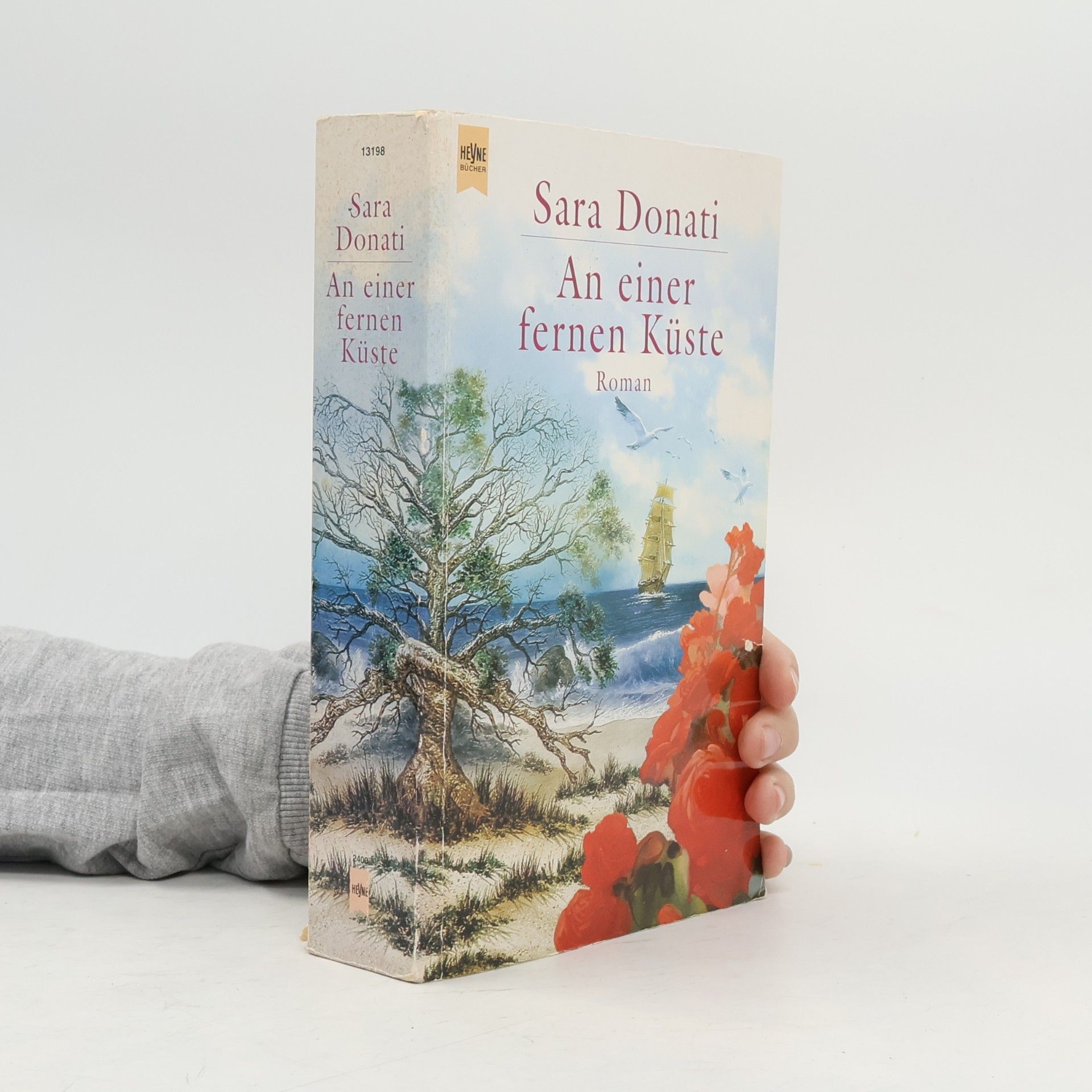 Sara Donati An einer fernen Küste