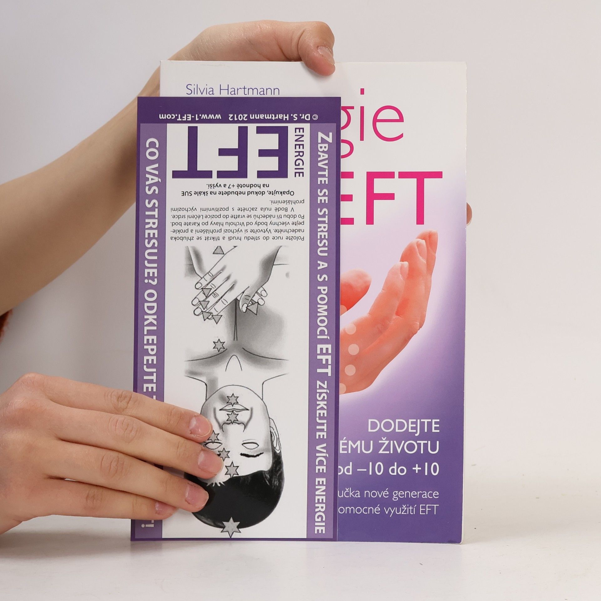 Silvia Hartmann Energie eft
