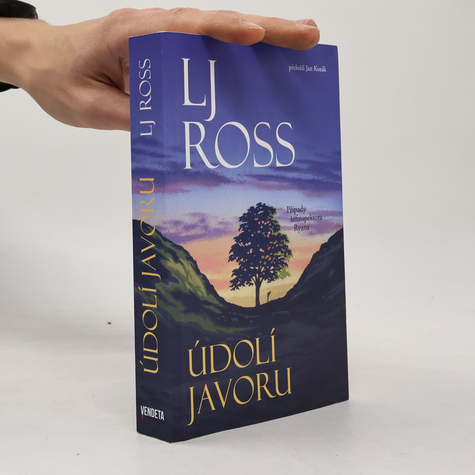Údolí javoru