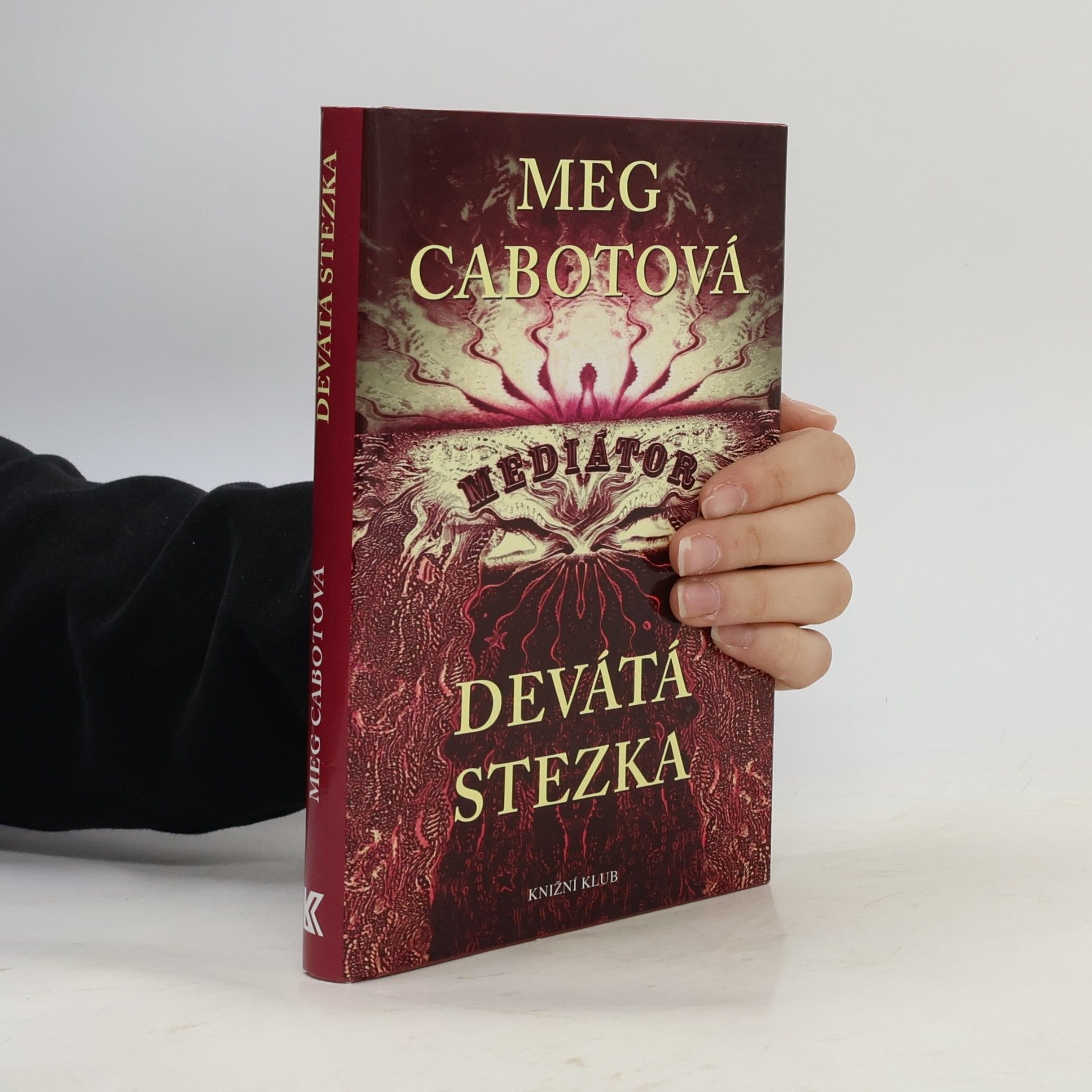 Mediátor. Devátá stezka