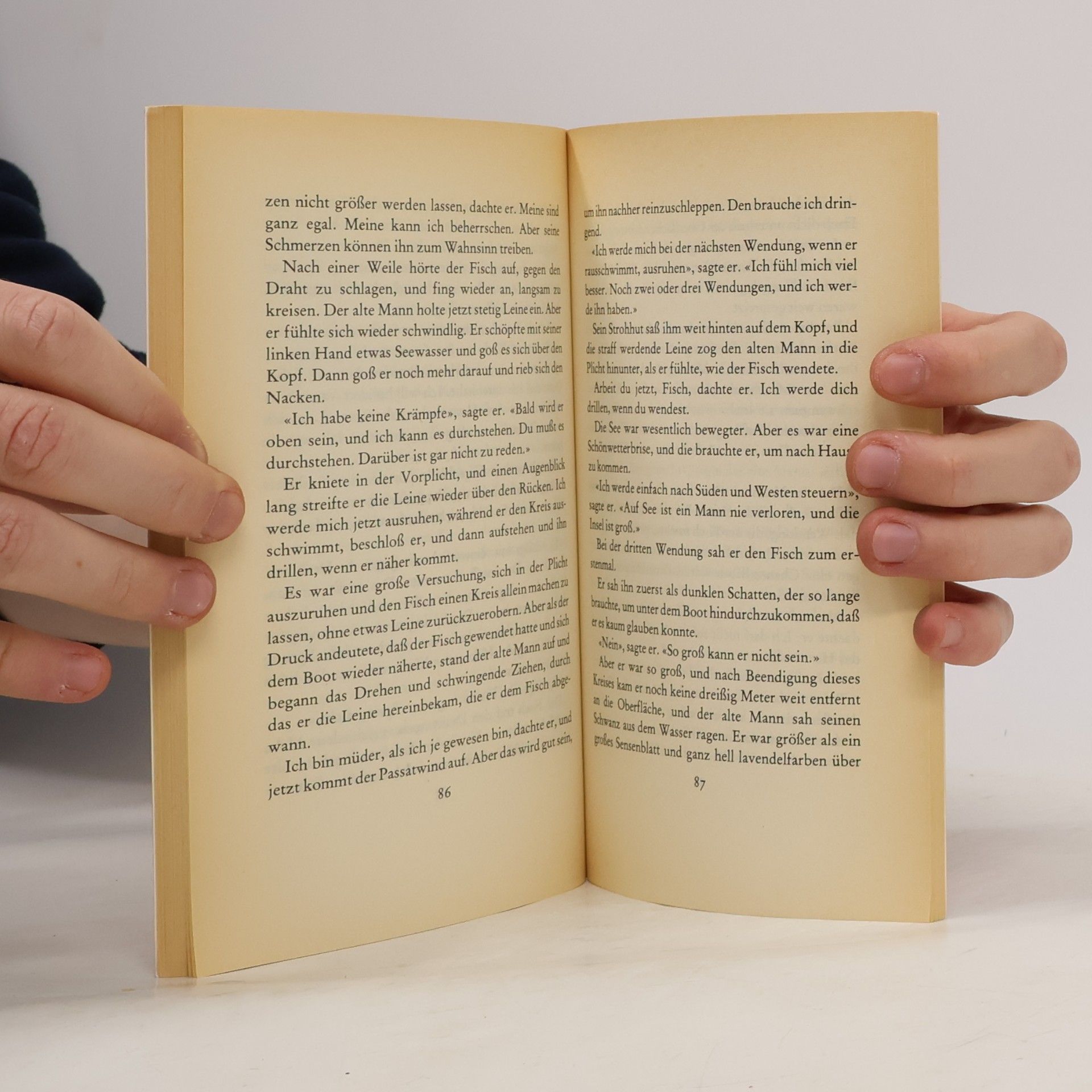 Ernest Hemingway Der alte Mann und das Meer