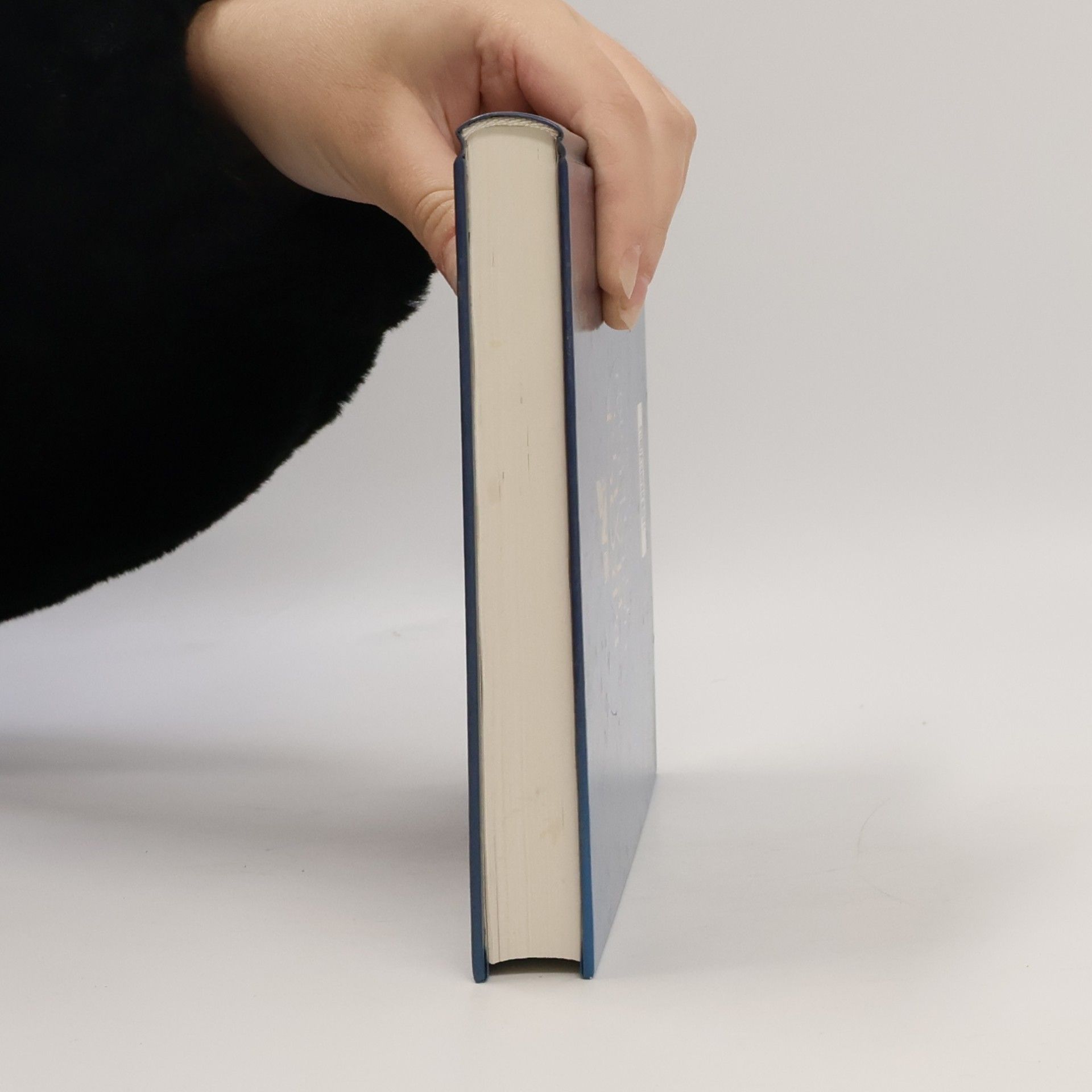 Autorenkollektiv Brock Haus Universal Lexikon 18