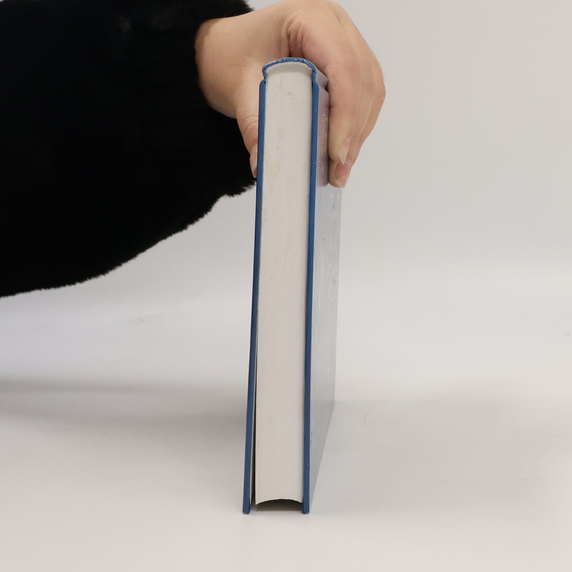 Autorenkollektiv Brock Haus Universal Lexikon 18