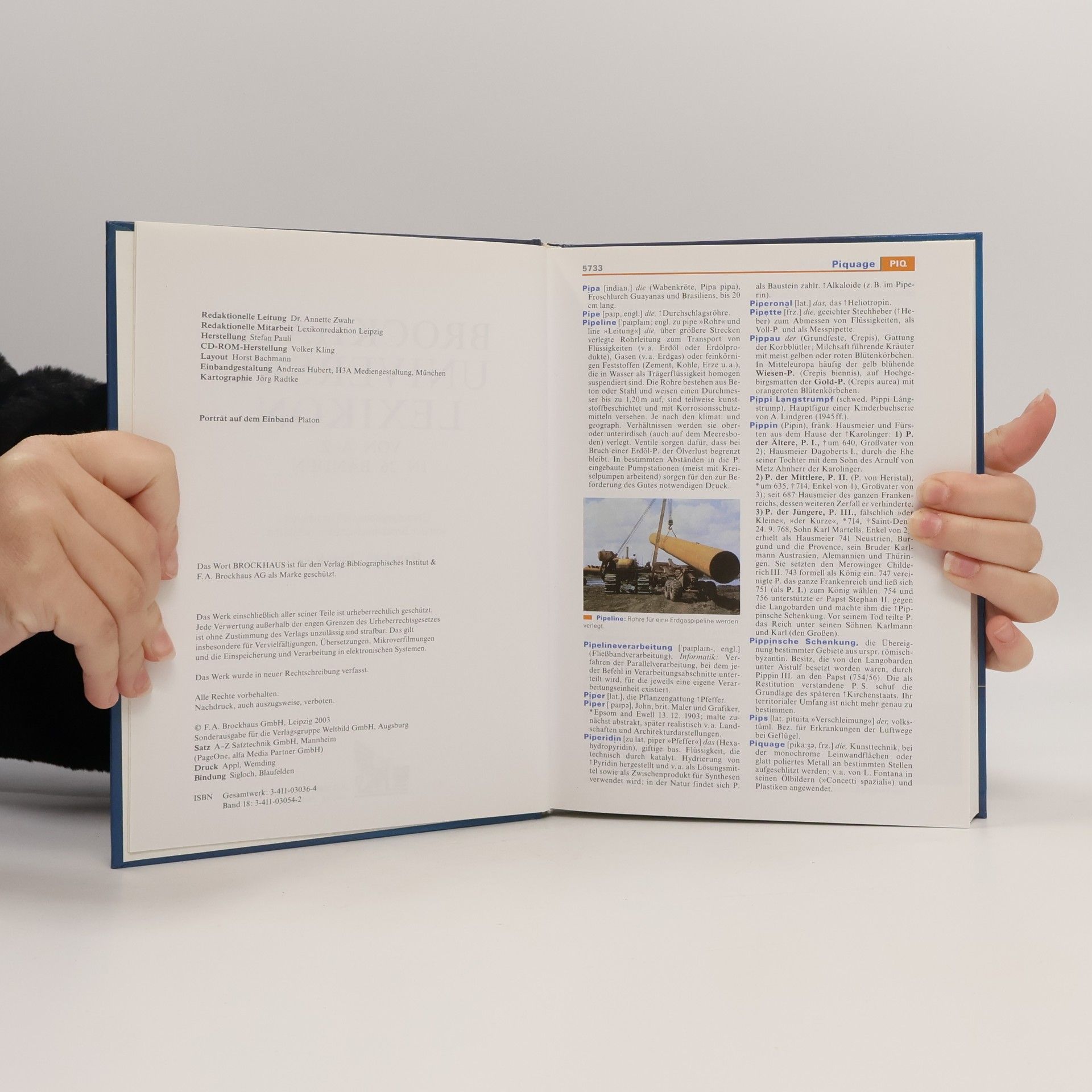Autorenkollektiv Brock Haus Universal Lexikon 18