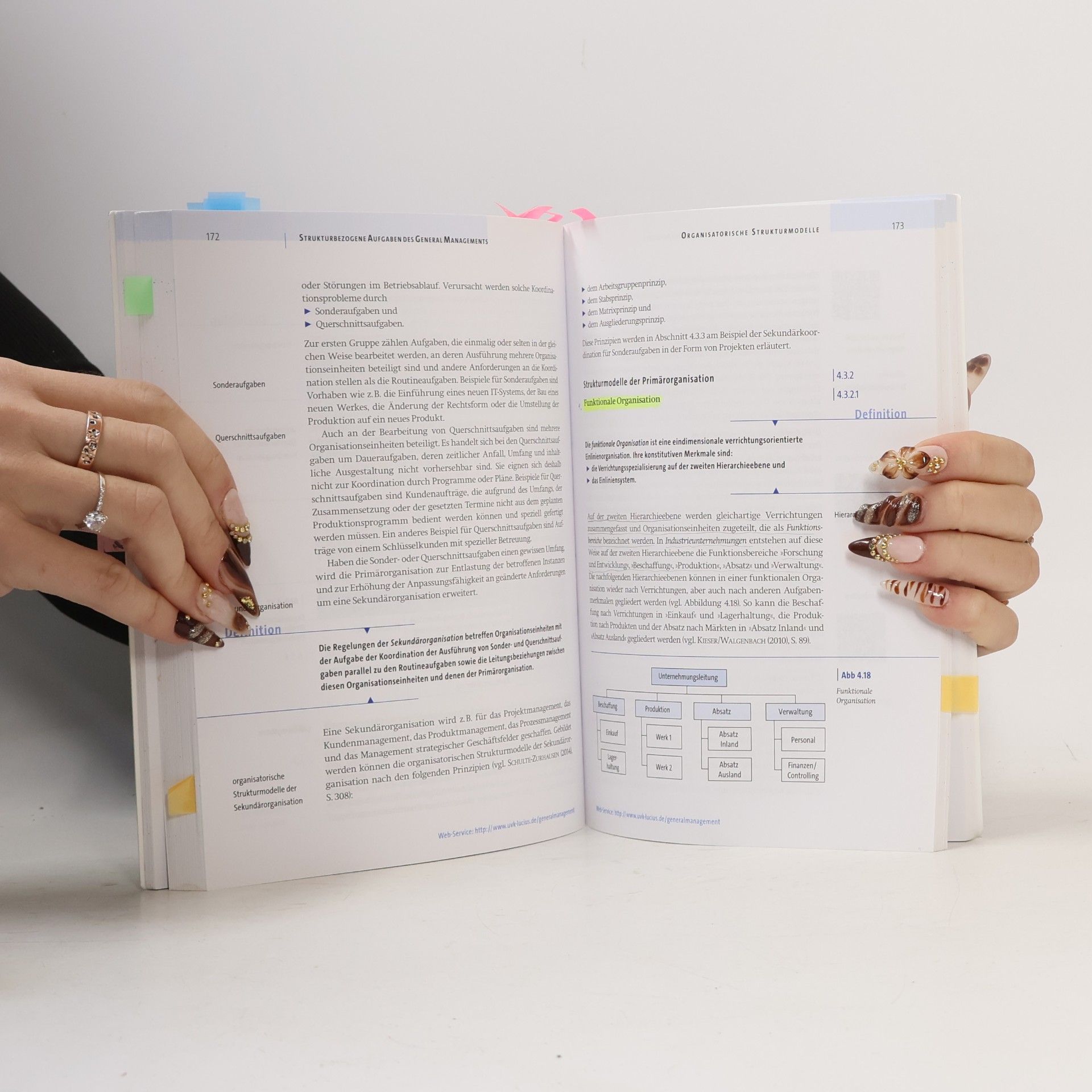 Birgit Friedl utb basics: General Management