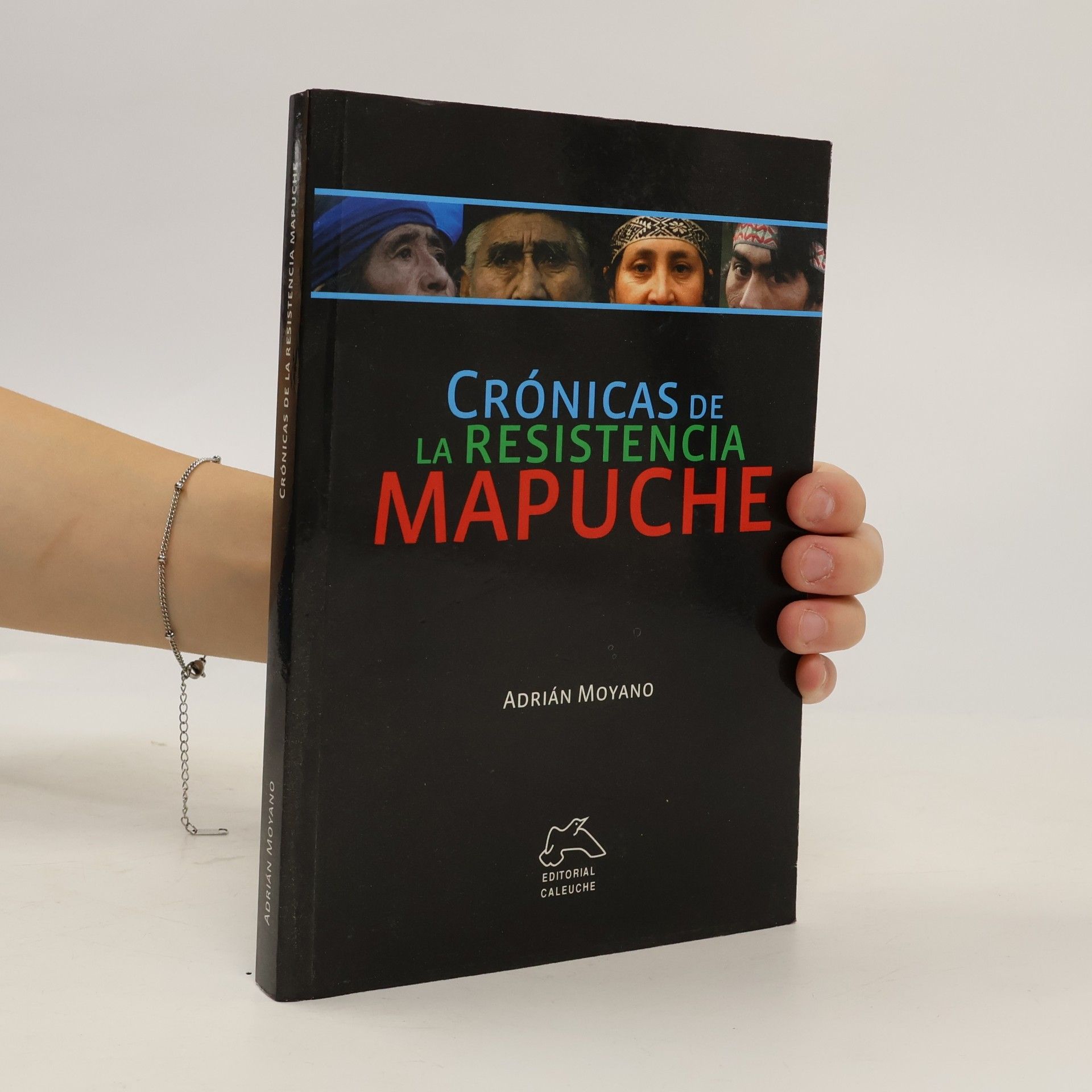 Crónicas de la Resistencia Mapuche