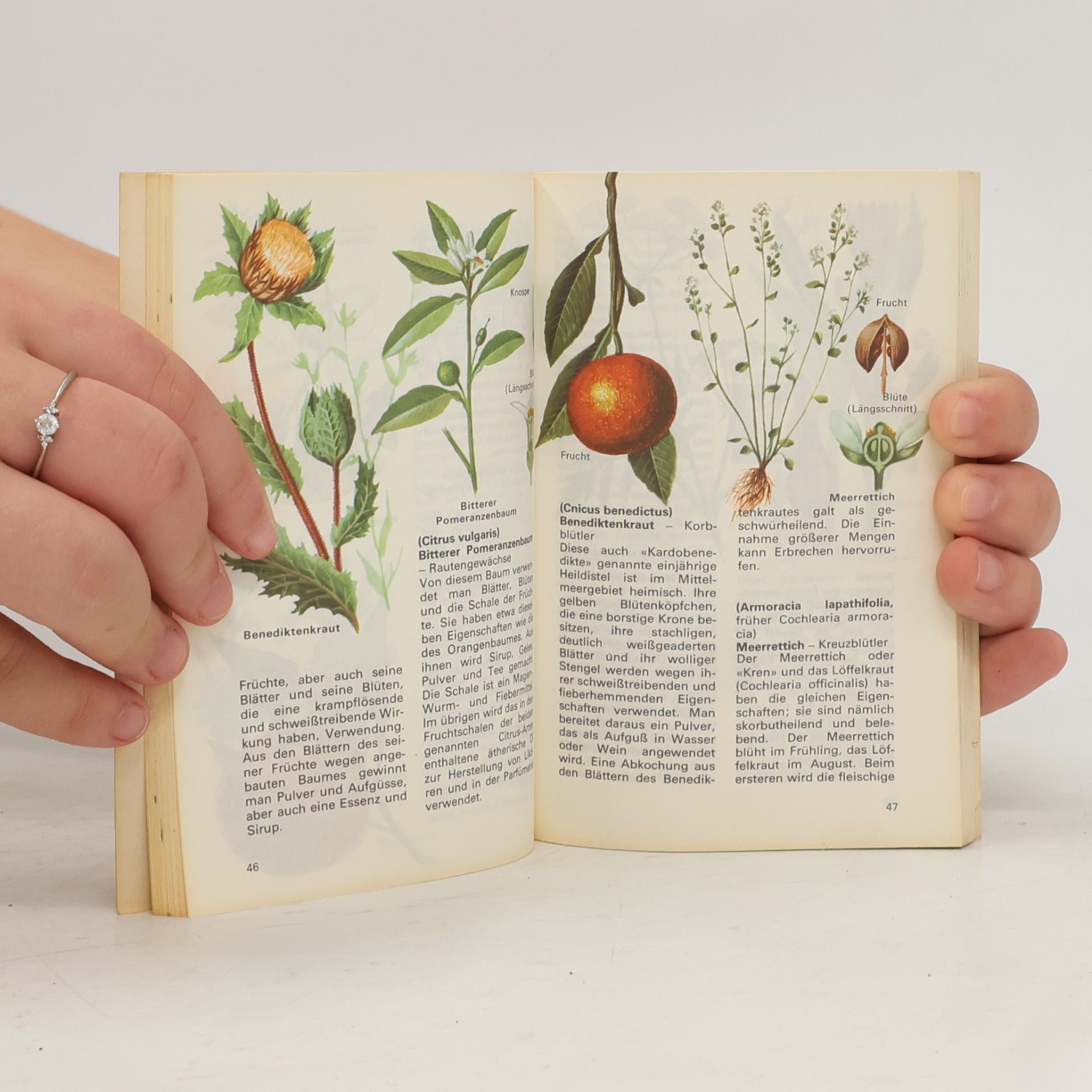 Various authors Heilpflanzen. Einheimische und fremde Arten