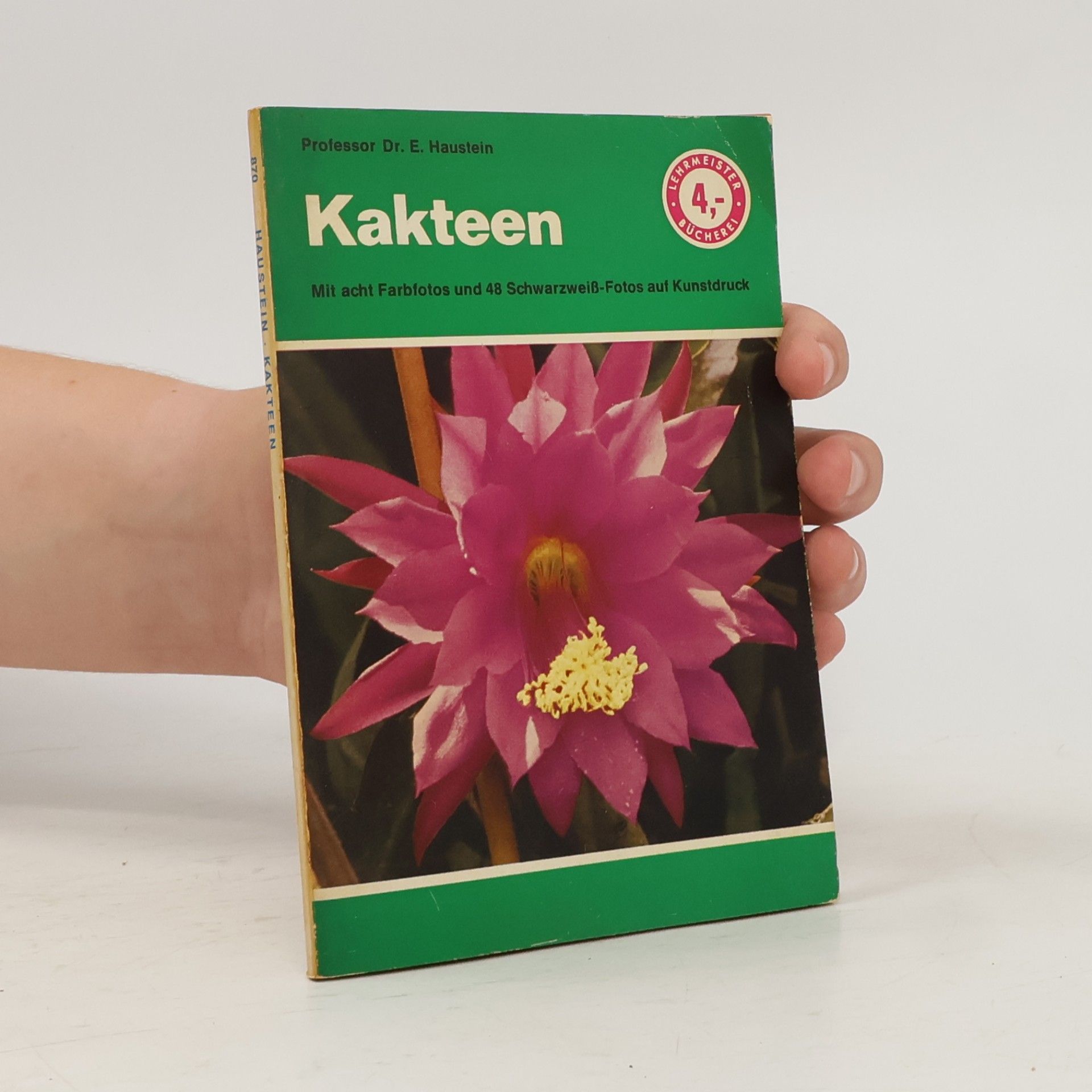 Kakteen