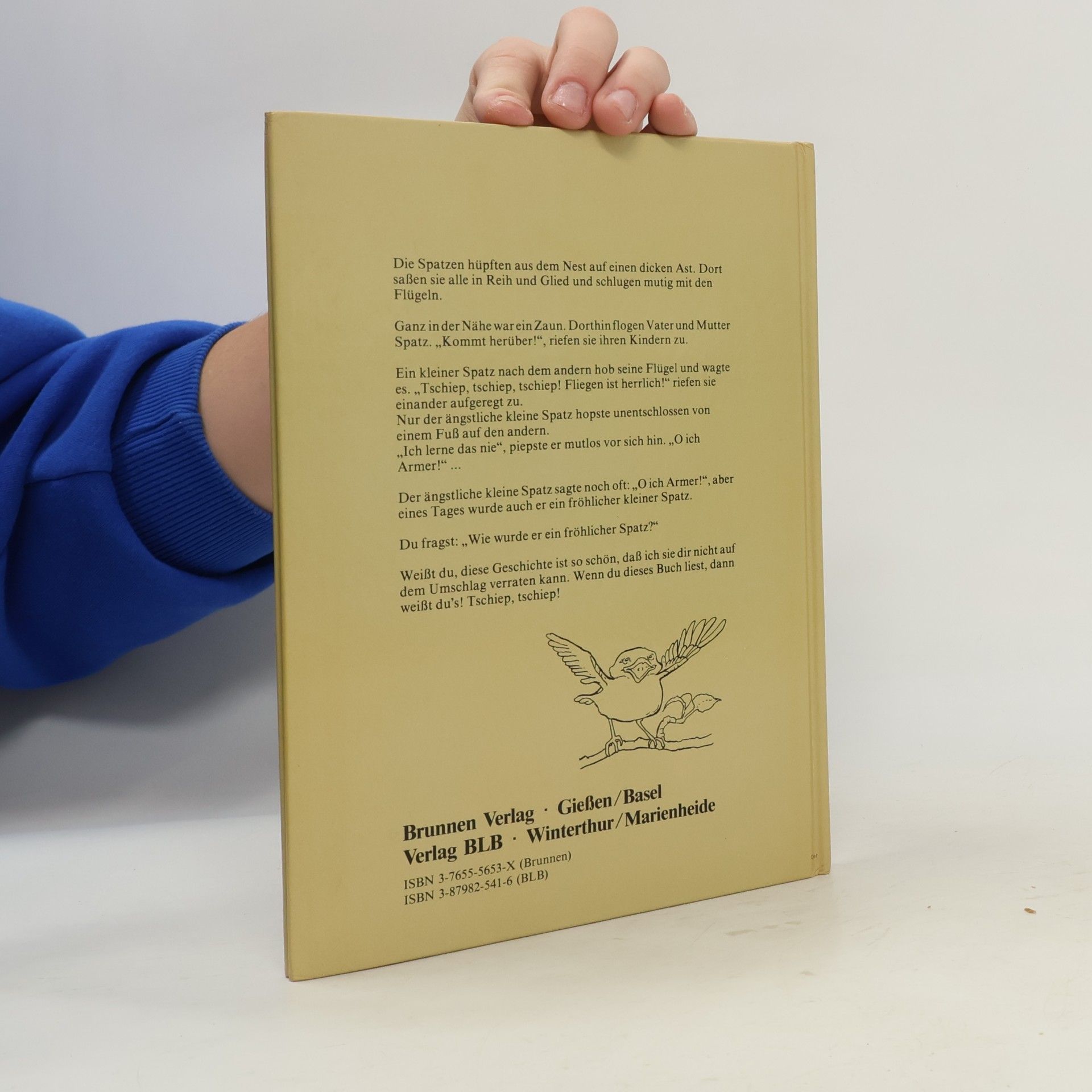 Kolektiv autorů Der ängstliche kleine Spatz