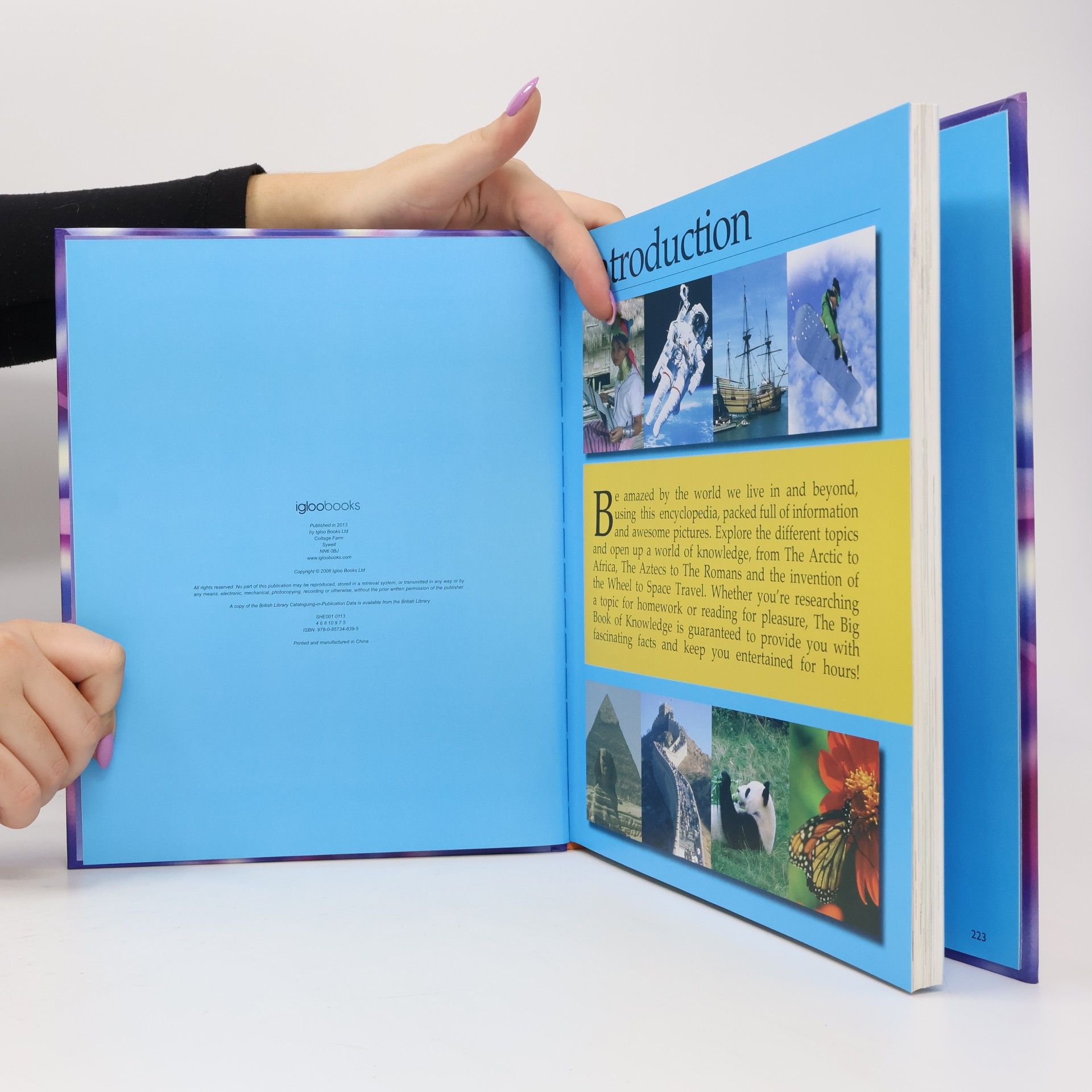 Igloo Books Factopedia: Big Book of Knowledge