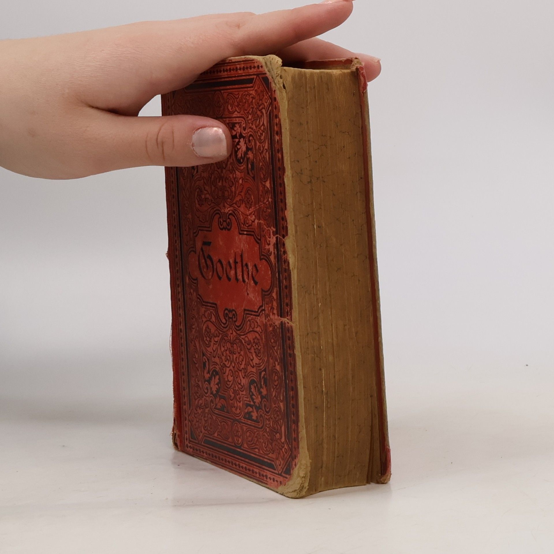 Johann Wolfgang von Goethe Goethes Werke 12. Auswahl in sechzehn Bänden