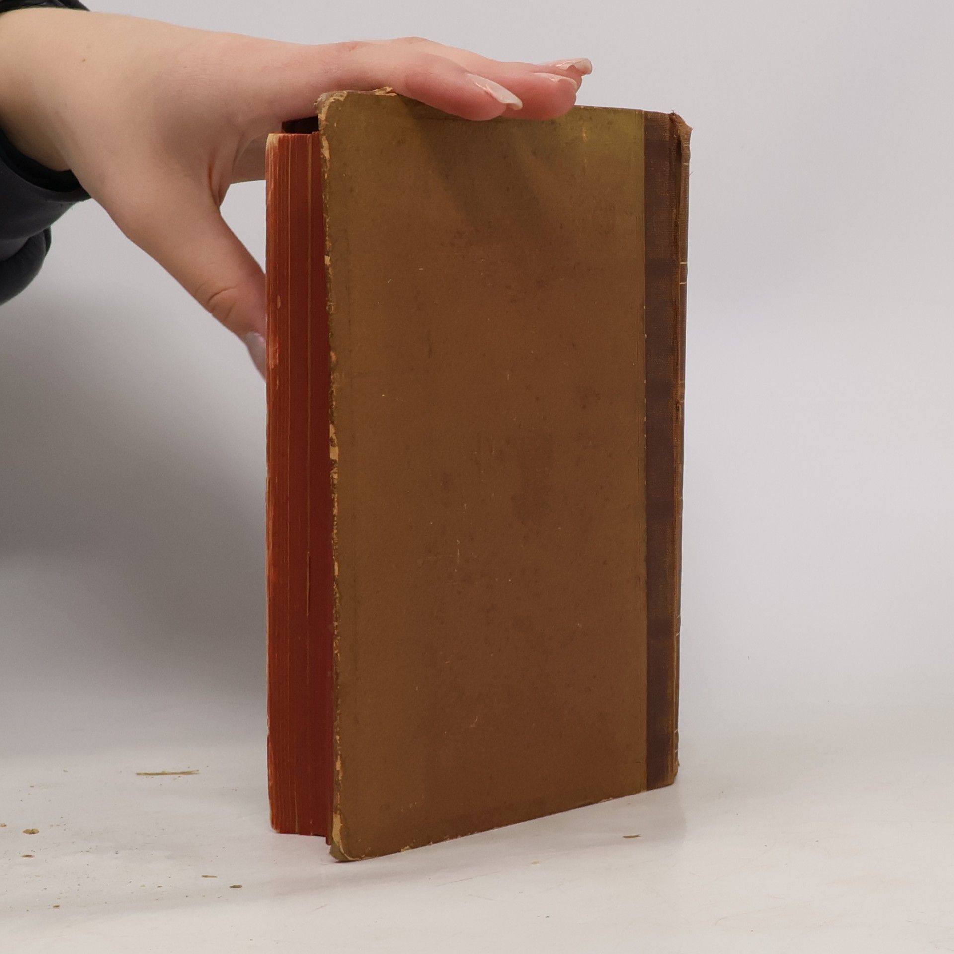 Kolektiv autorů Deutsche National-Litteratur: Historisch kritische Ausgabe 39. Die Gegner der zweiten schlesischen Schule II)