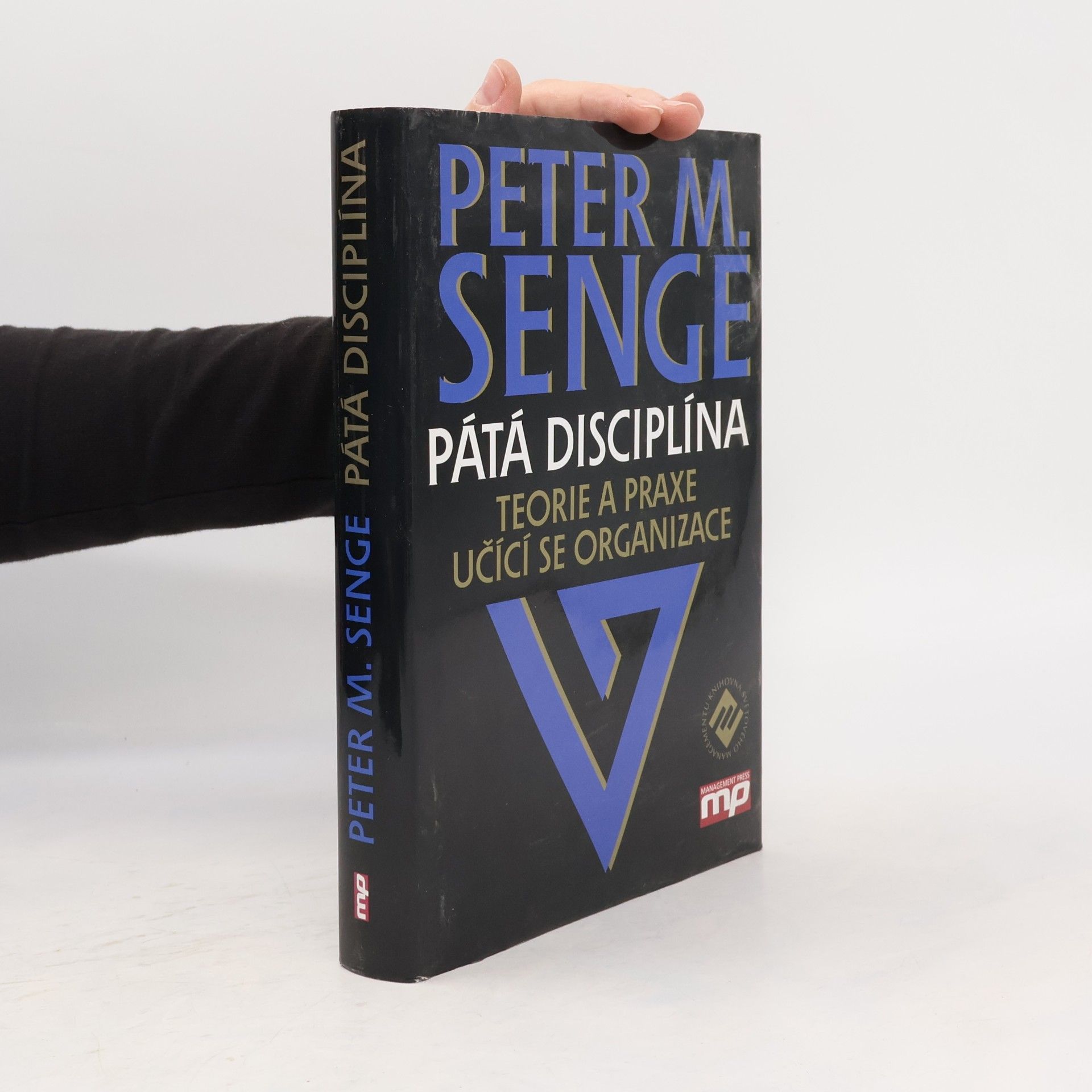 Pátá disciplína