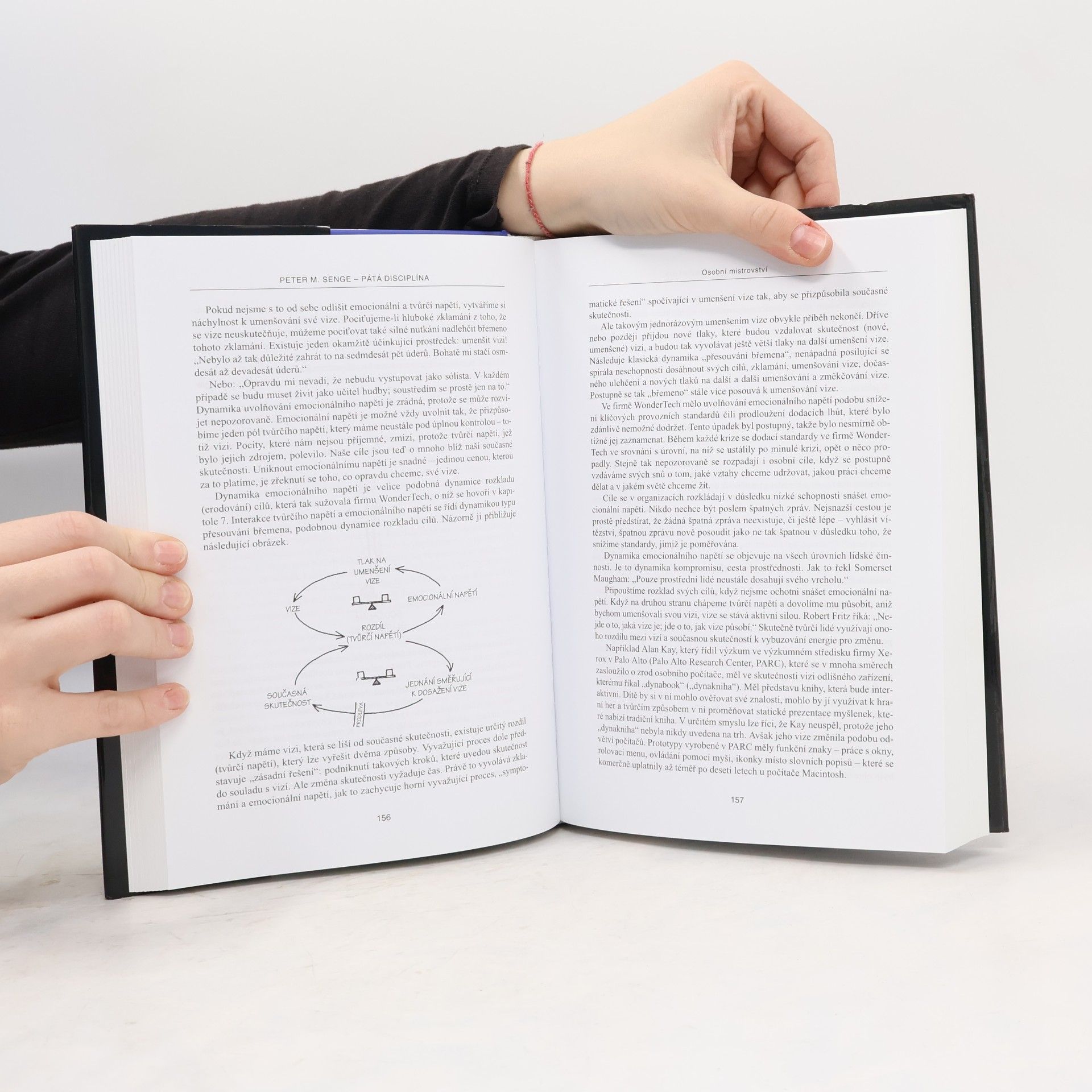 Peter M. Senge Pátá disciplína