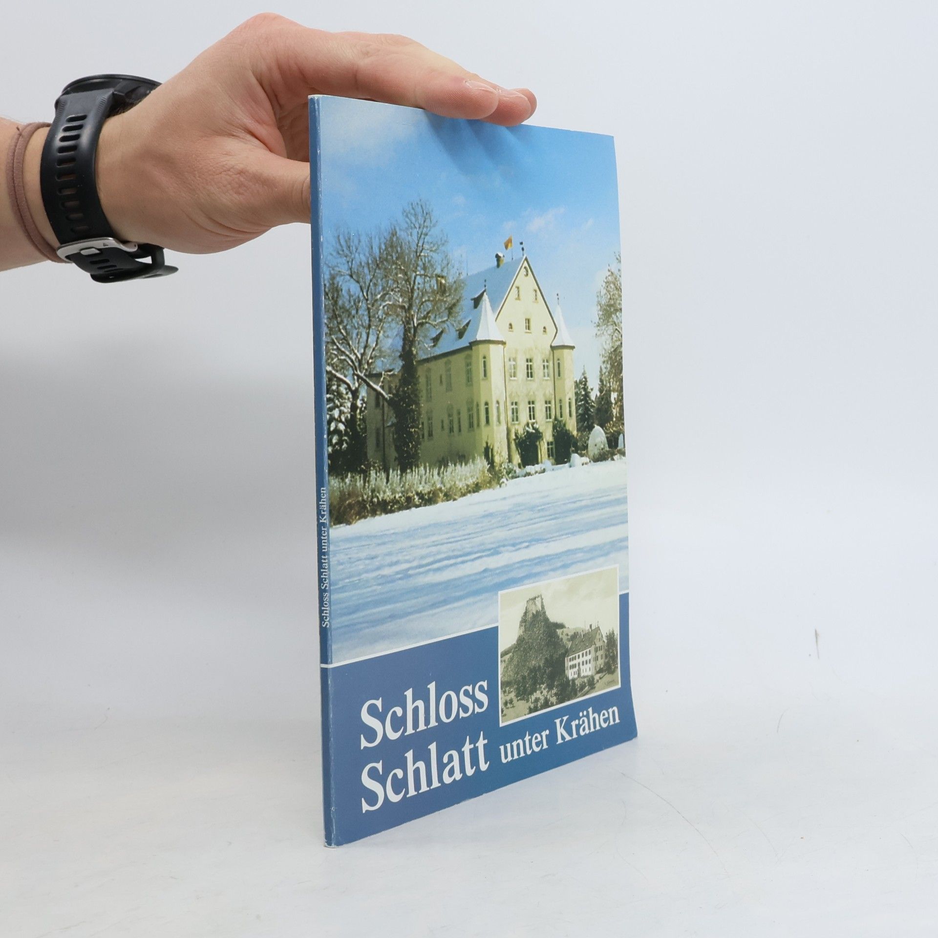 Schloss Schlatt