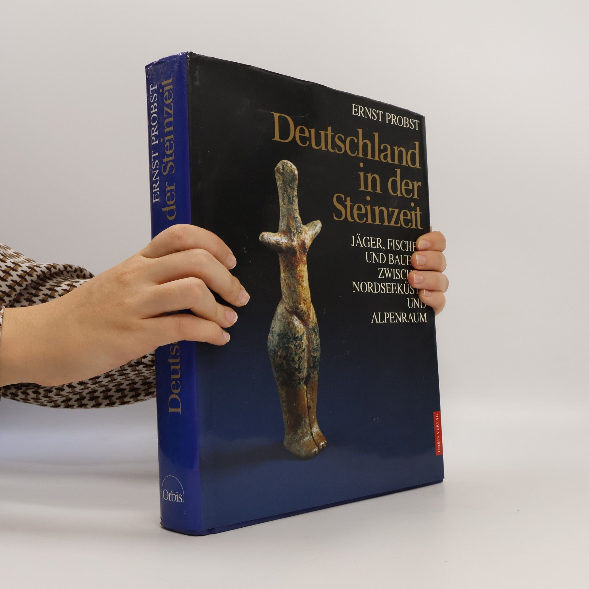 Deutschland in der Steinzeit