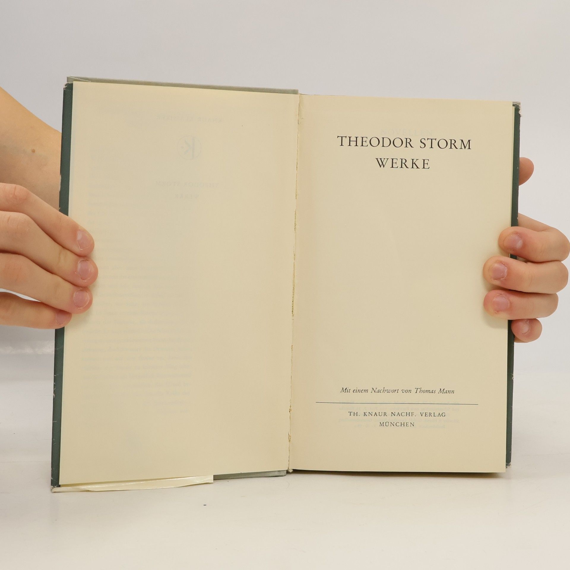 Theodor Storm Werke in einem Band