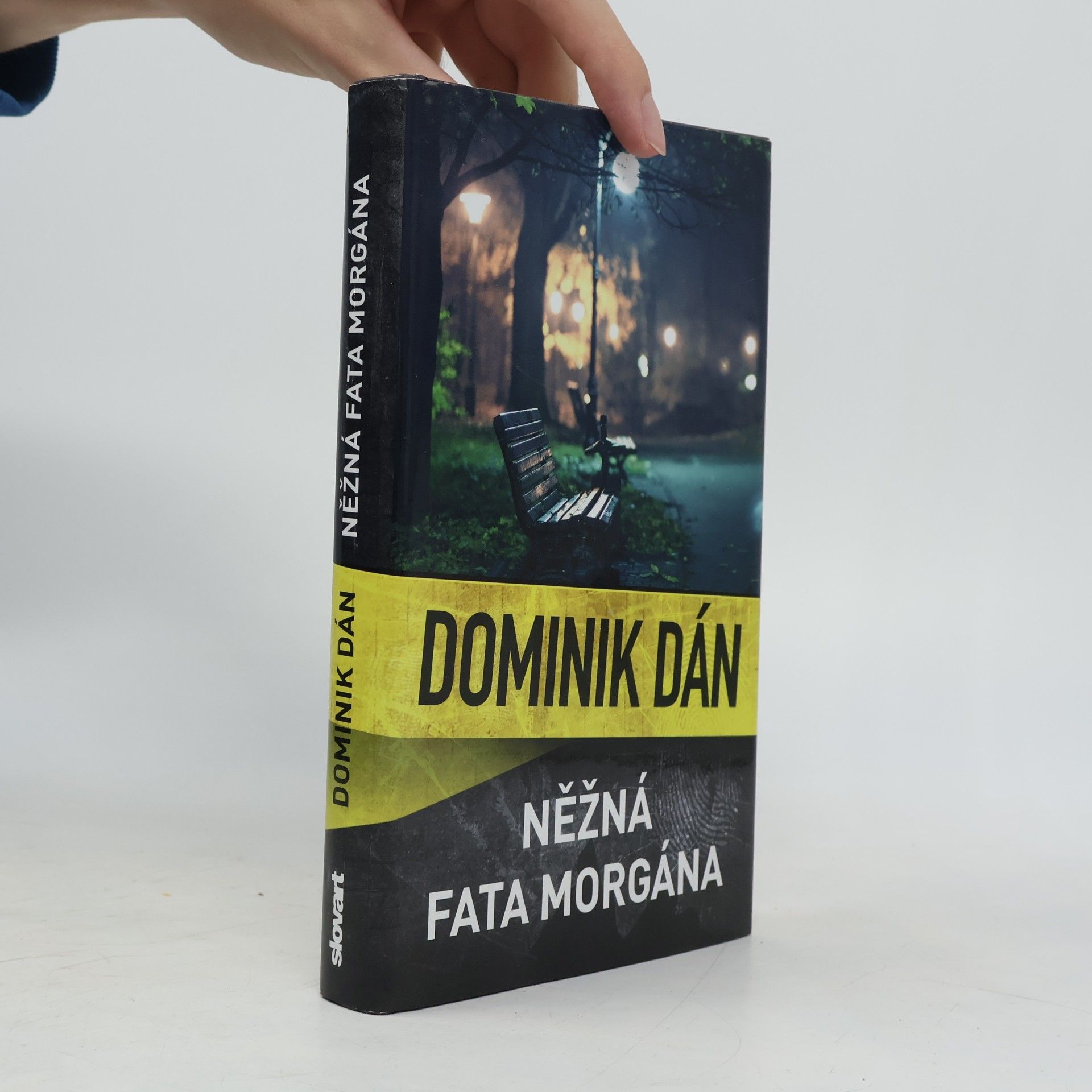 Dominik Dán Něžná fata morgána