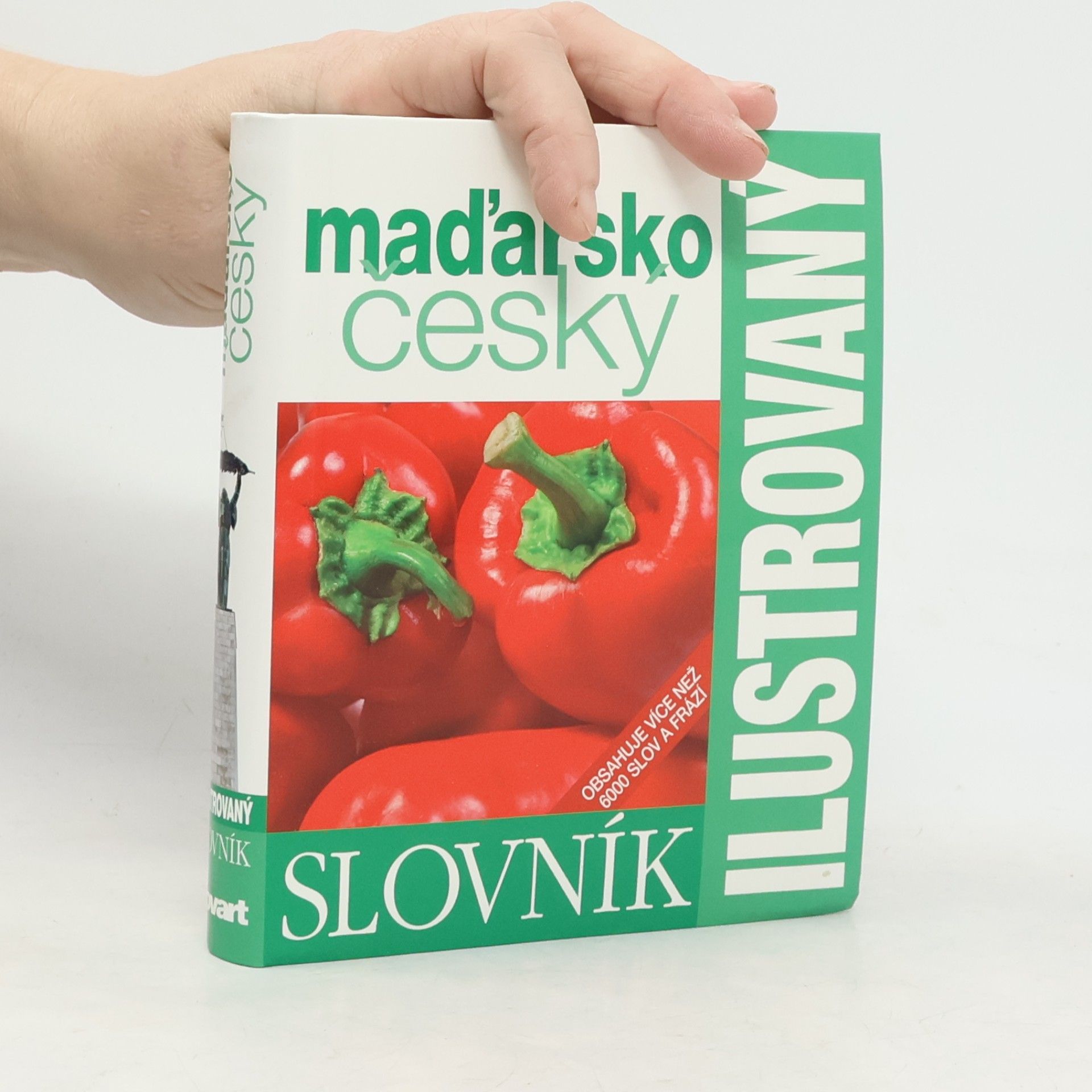 AA.VV. Maďarsko český ilustrovaný slovník