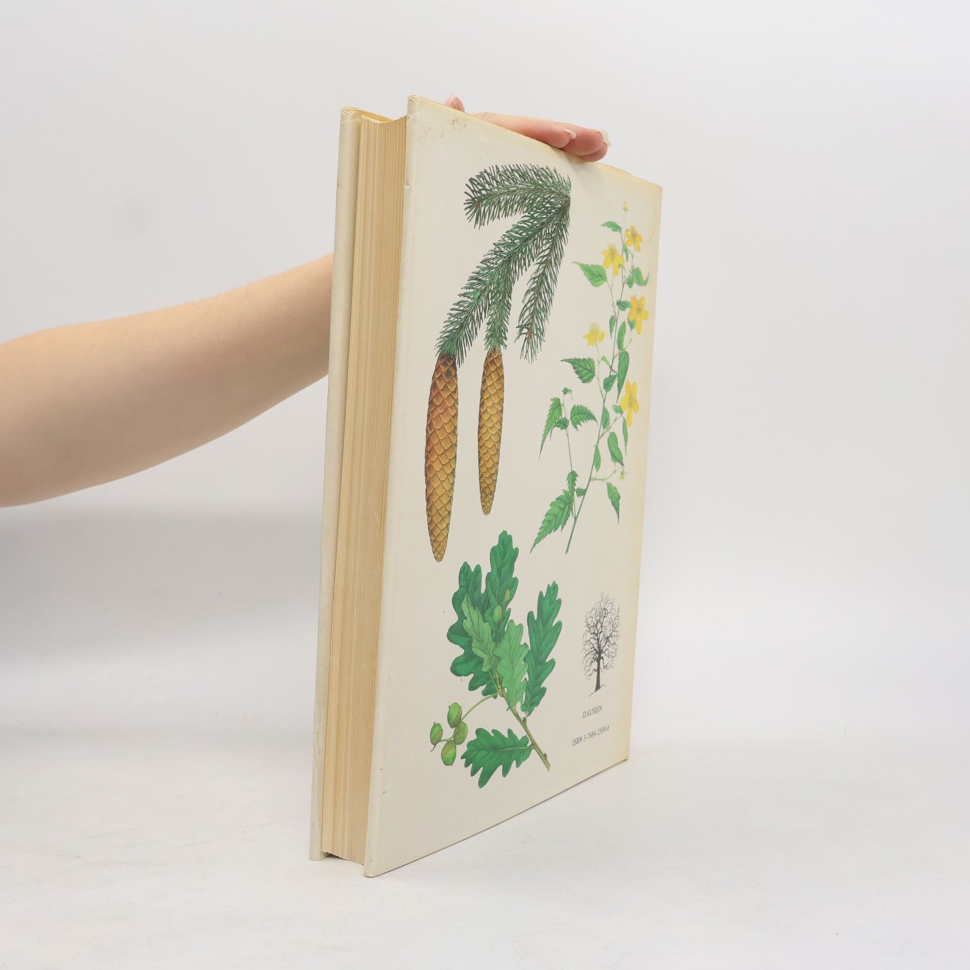 Václav Větvička Dausien's grosses Buch der Bäume und Sträucher