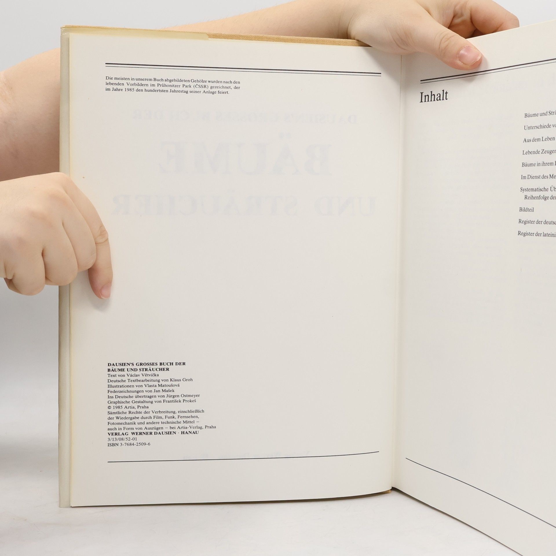 Václav Větvička Dausien's grosses Buch der Bäume und Sträucher