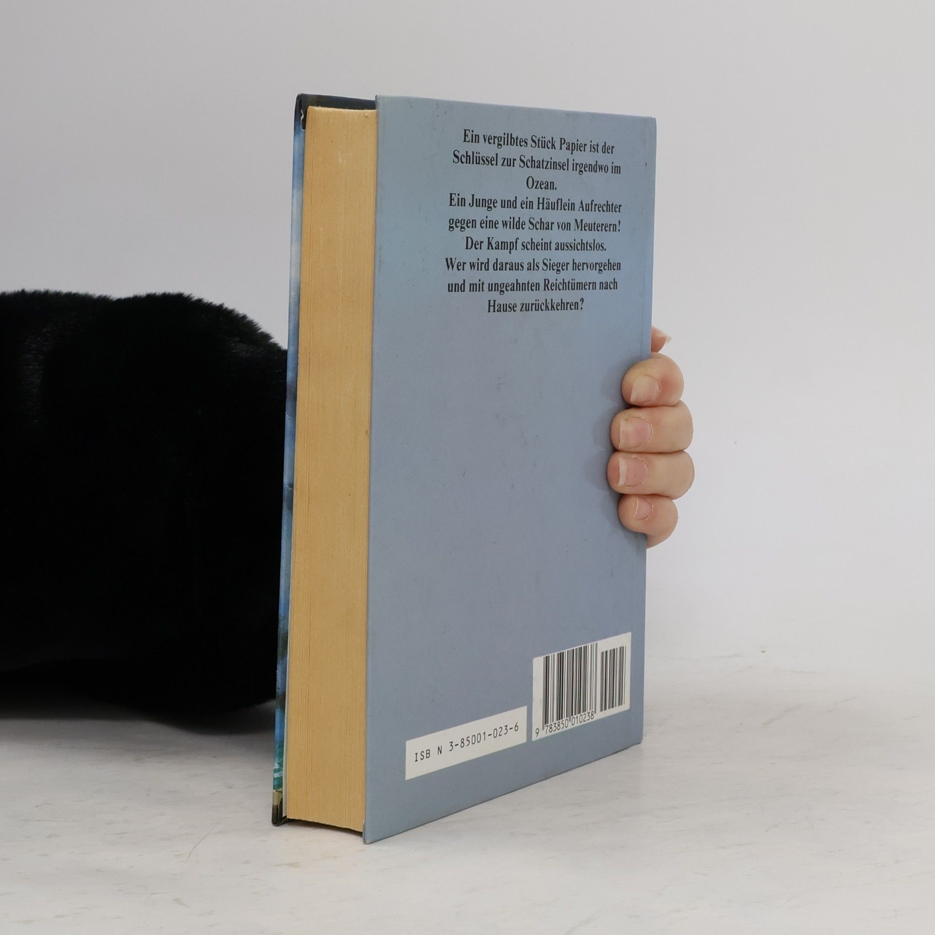 Robert Louis Stevenson Die Schatzinsel