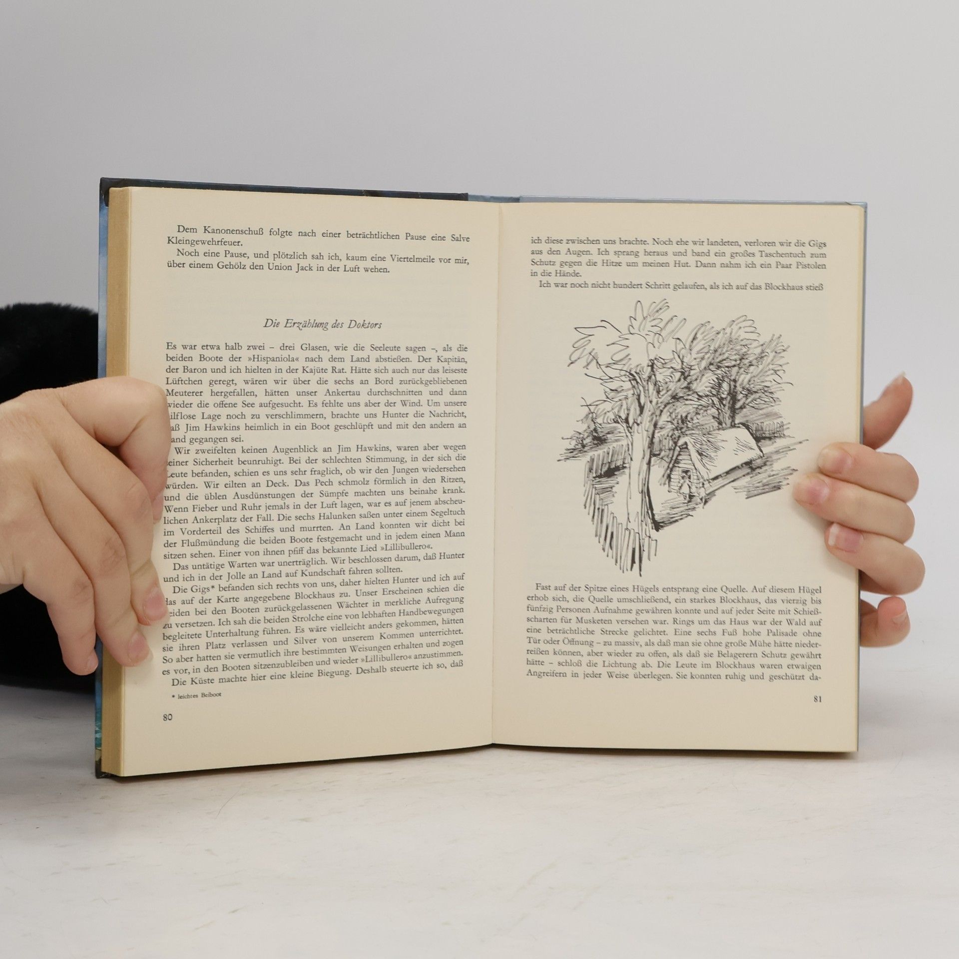 Robert Louis Stevenson Die Schatzinsel