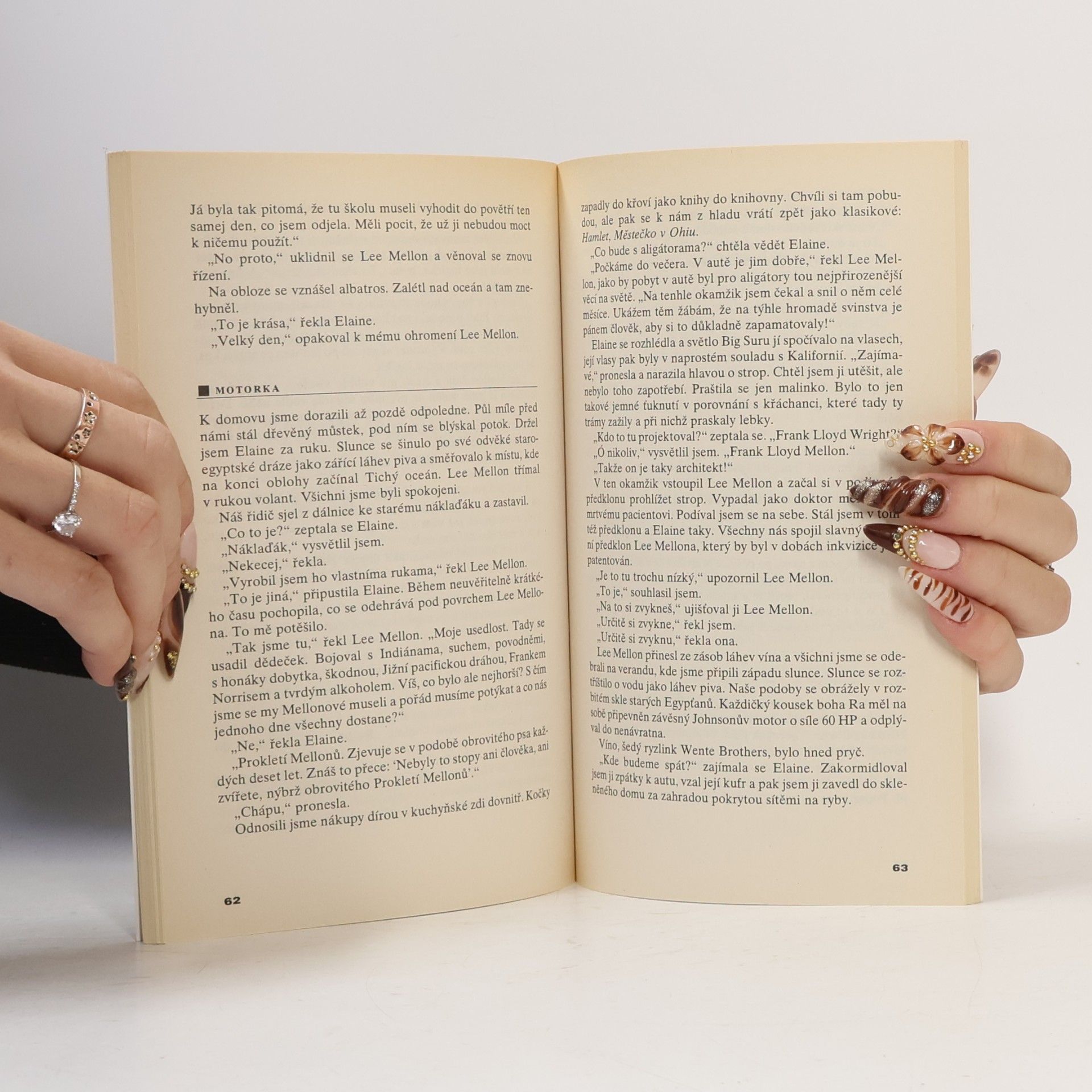 Richard Brautigan Konfederační generál z Big Suru