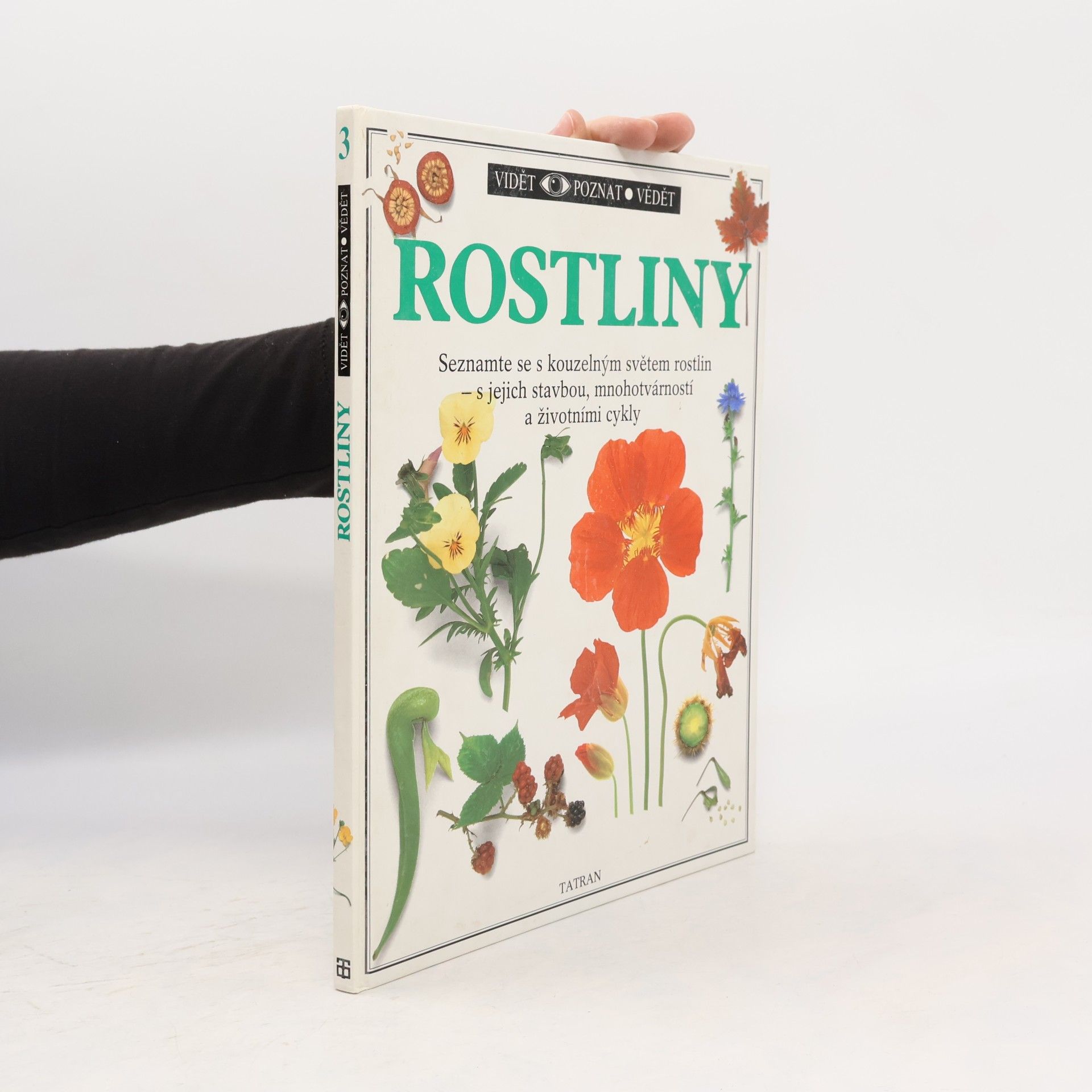 Rostliny