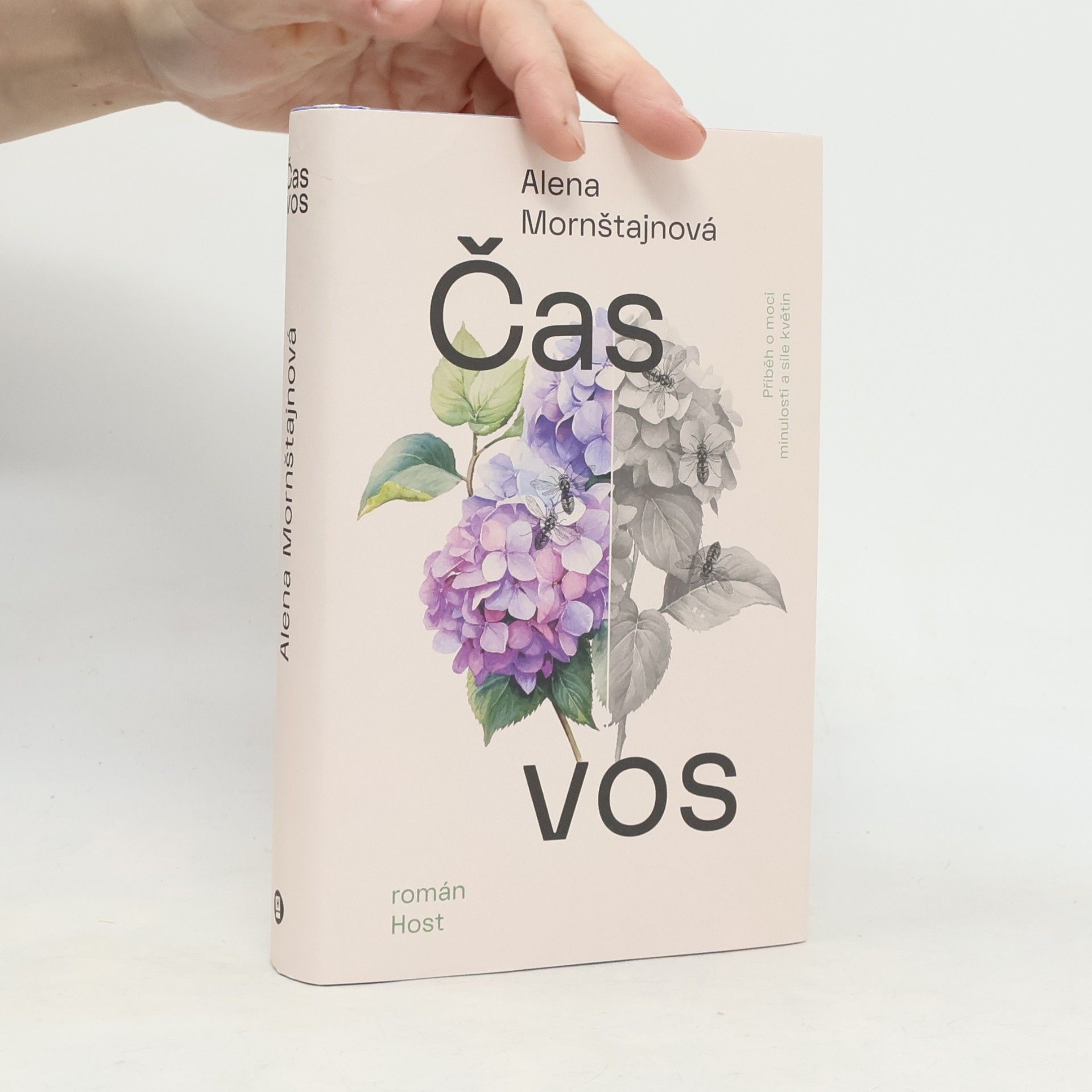 Čas vos