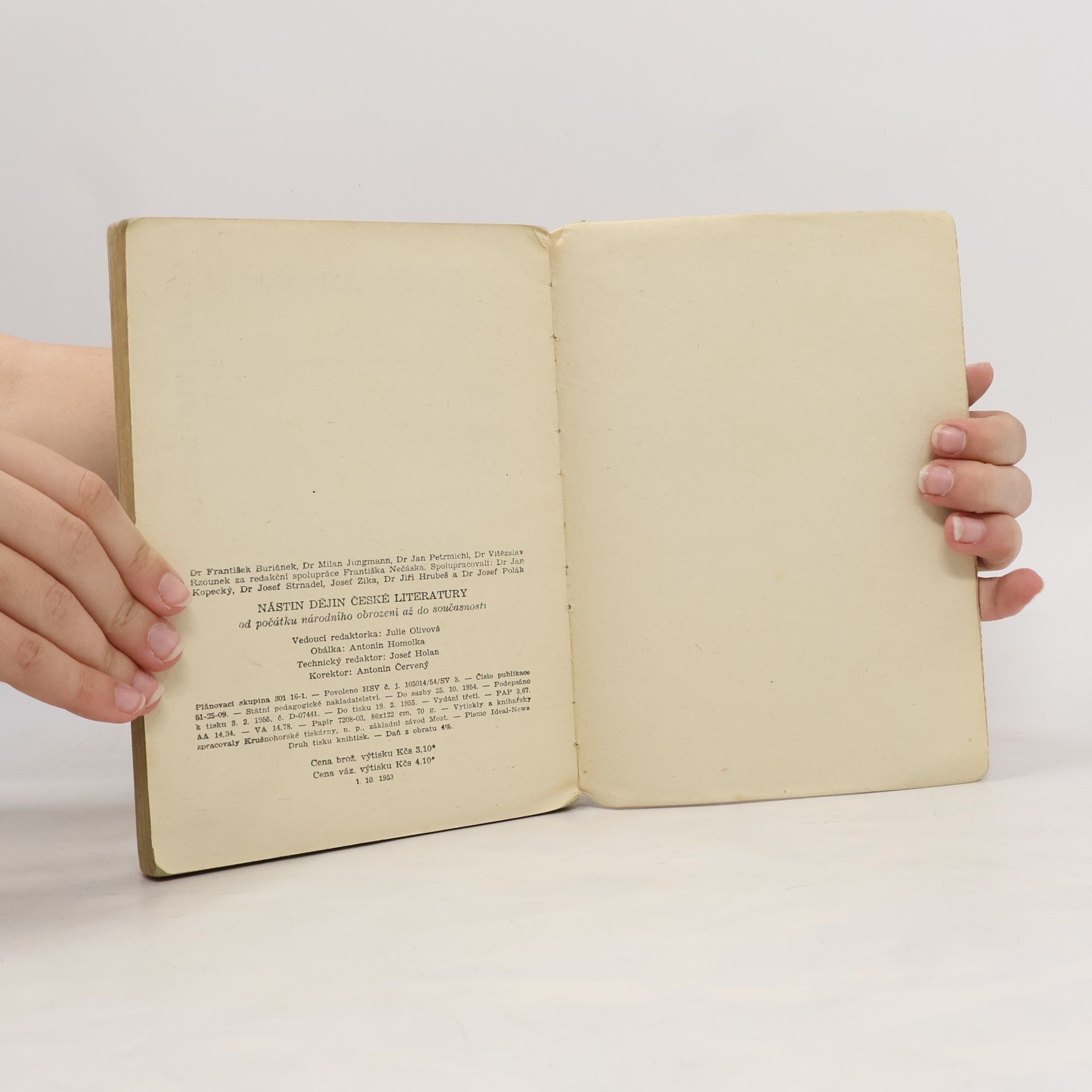 Autores varios Nástin dějin české literatury. Od počátku národního obrození až do současnosti