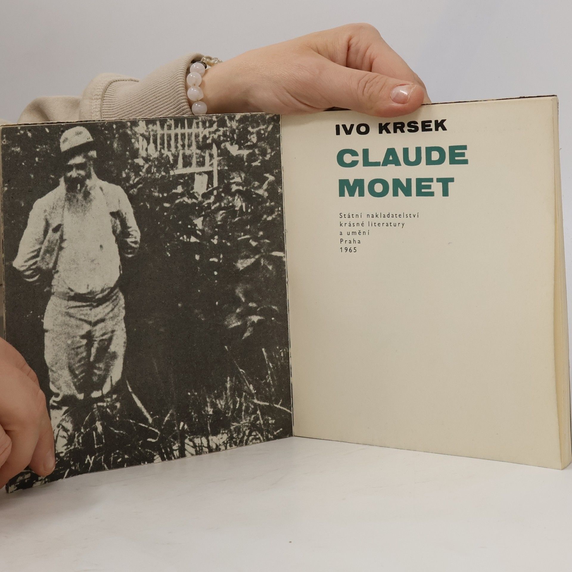 Ivo Krsek Monet